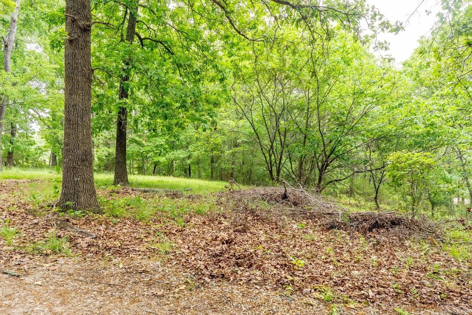 Property at 75  County road 7280 - Image 46