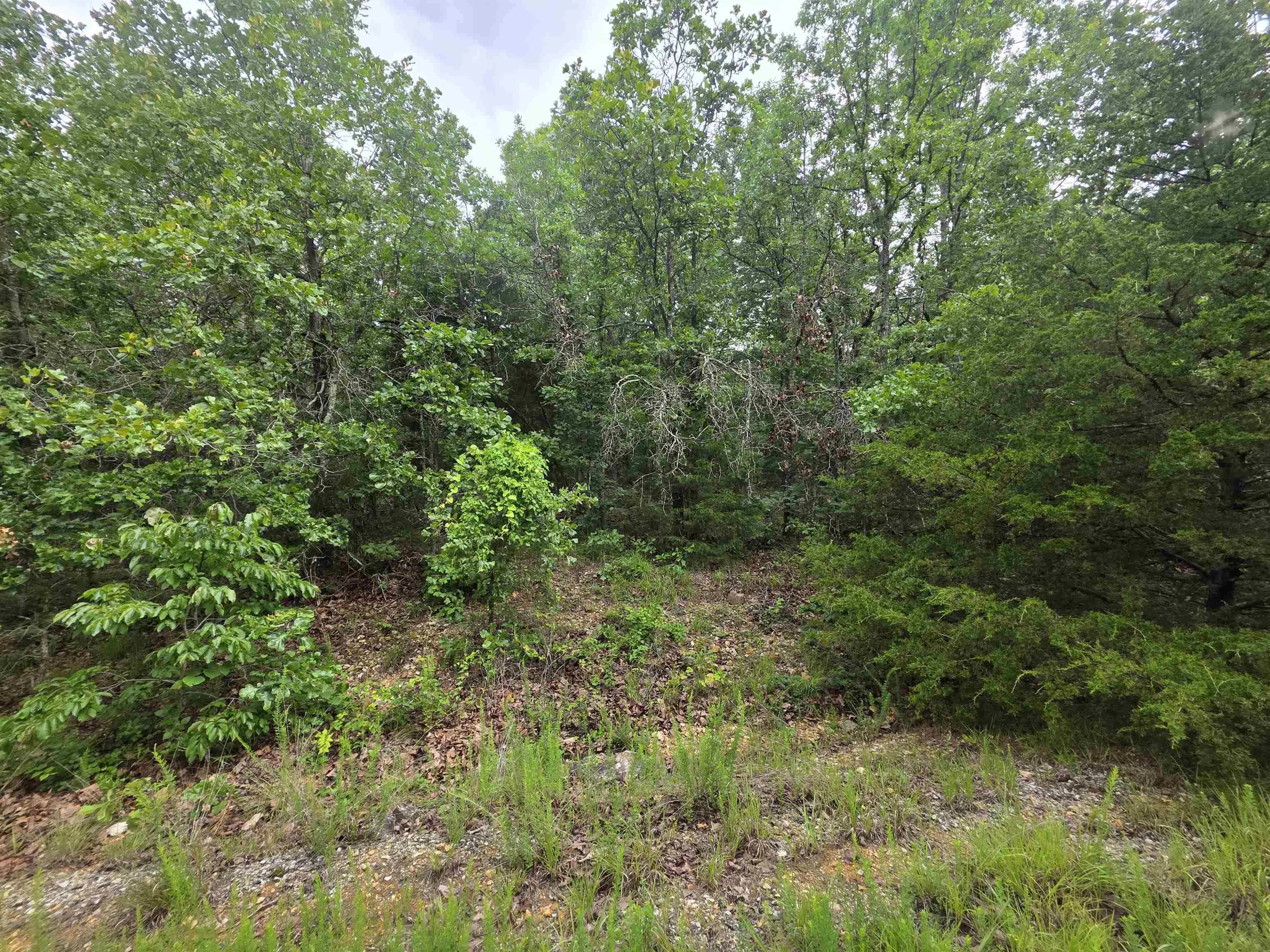 Property at L-10, B-4  Arizonac - Image 1