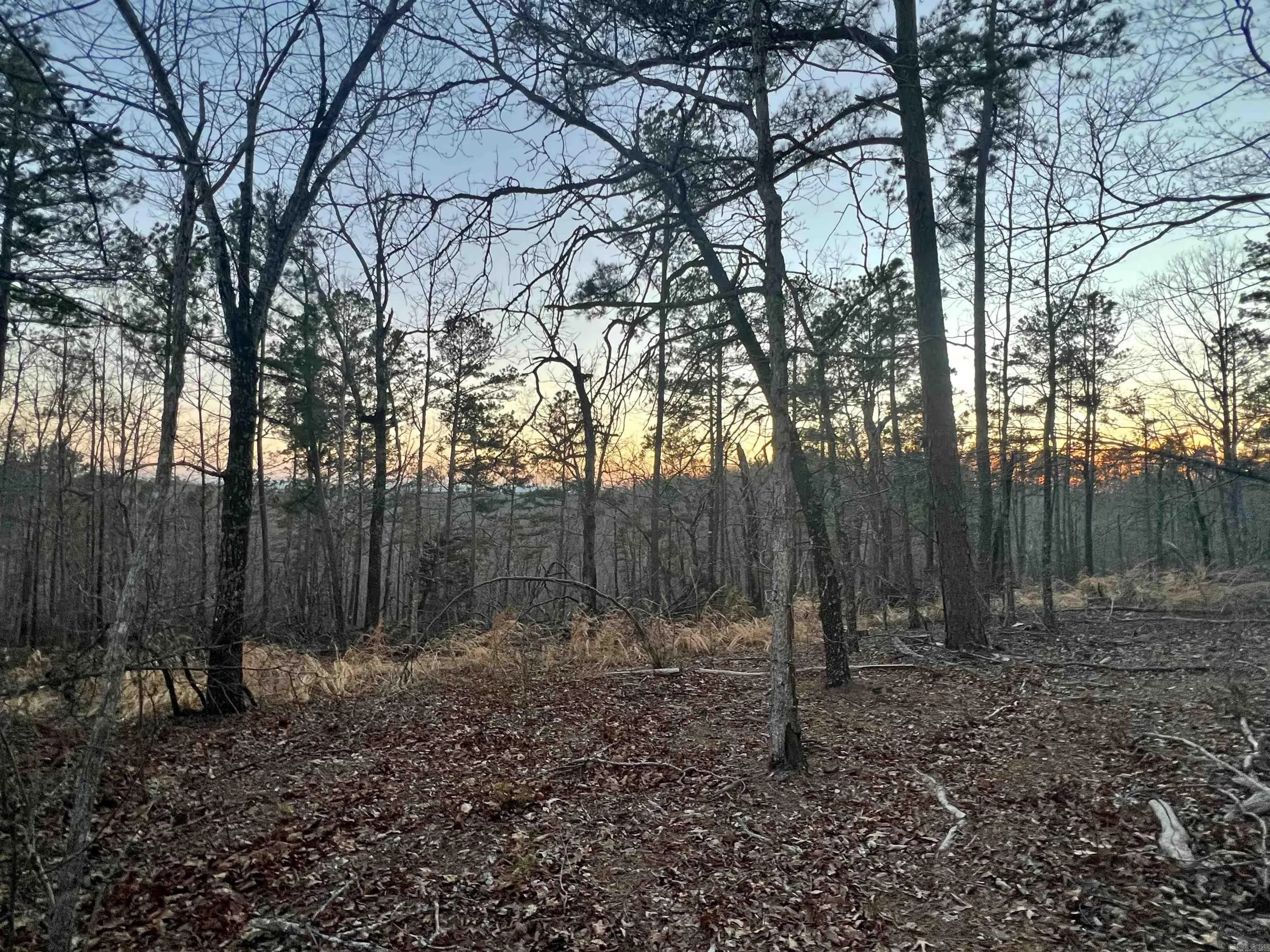 Property at Tract 6  Ramblewood trail - Image 22