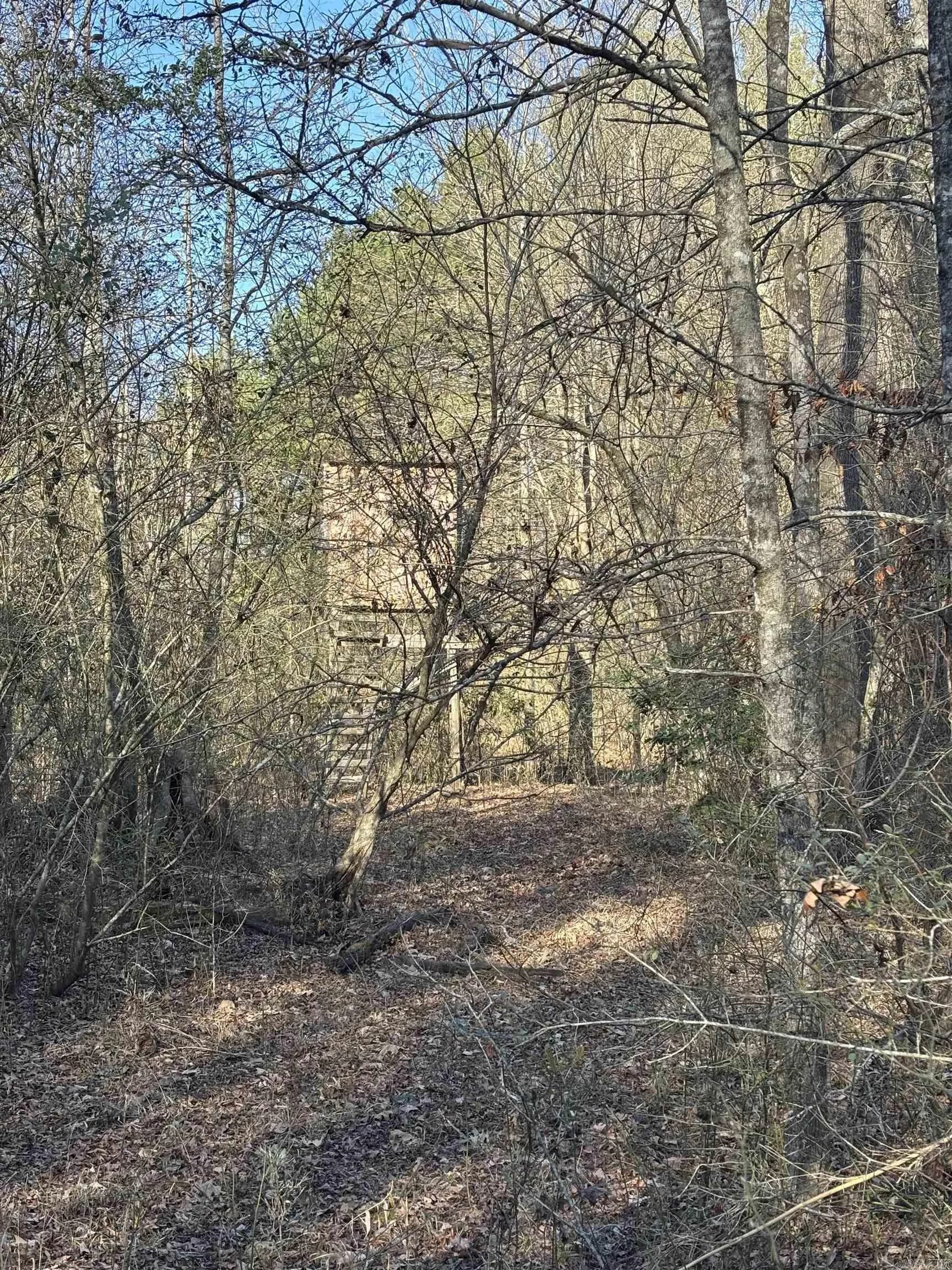 Property at 71 ACRE  Grant 167031 - Image 3
