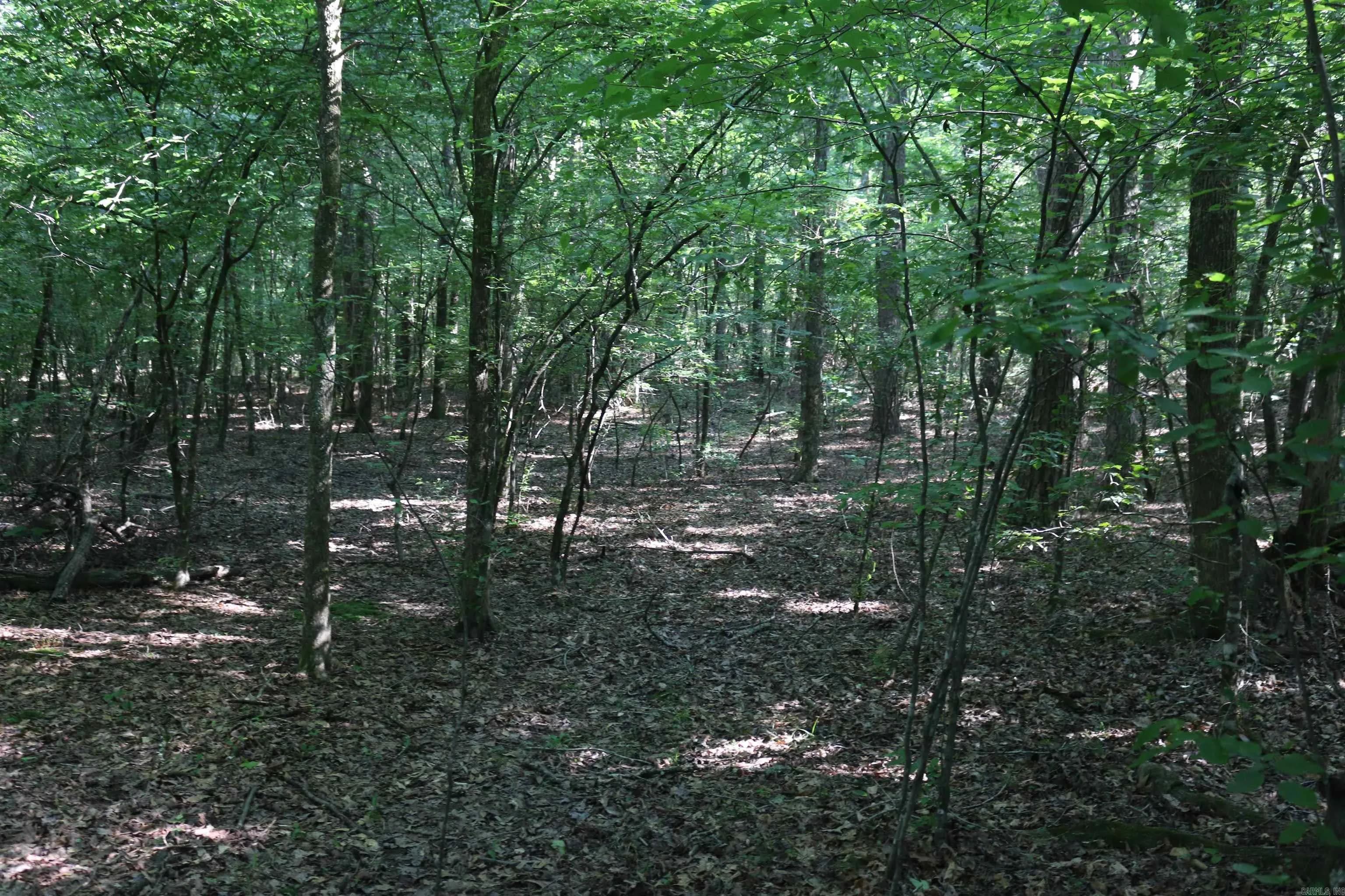 Property at 0000  Polk rd 47 - Image 21