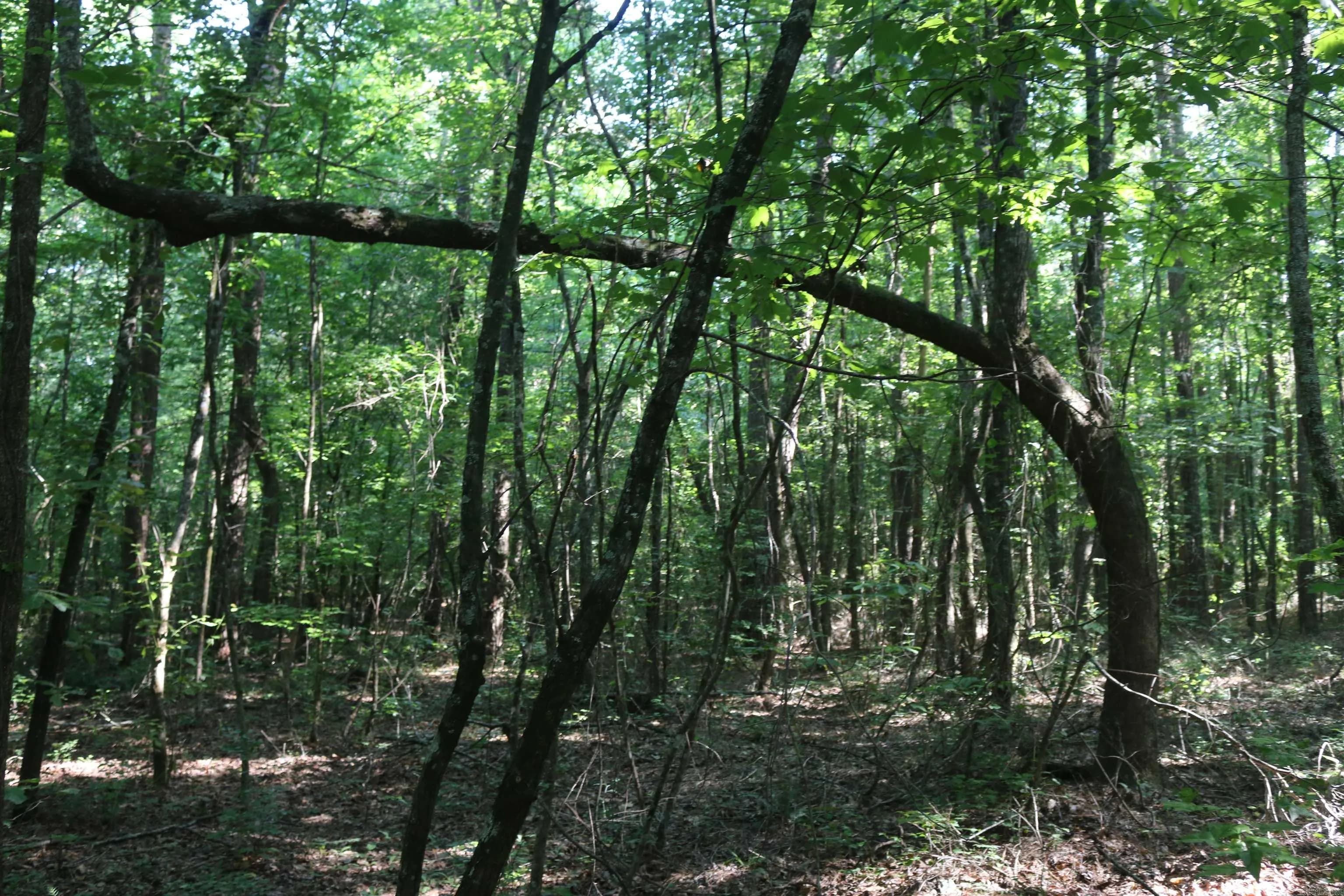 Property at 0000  Polk rd 47 - Image 23