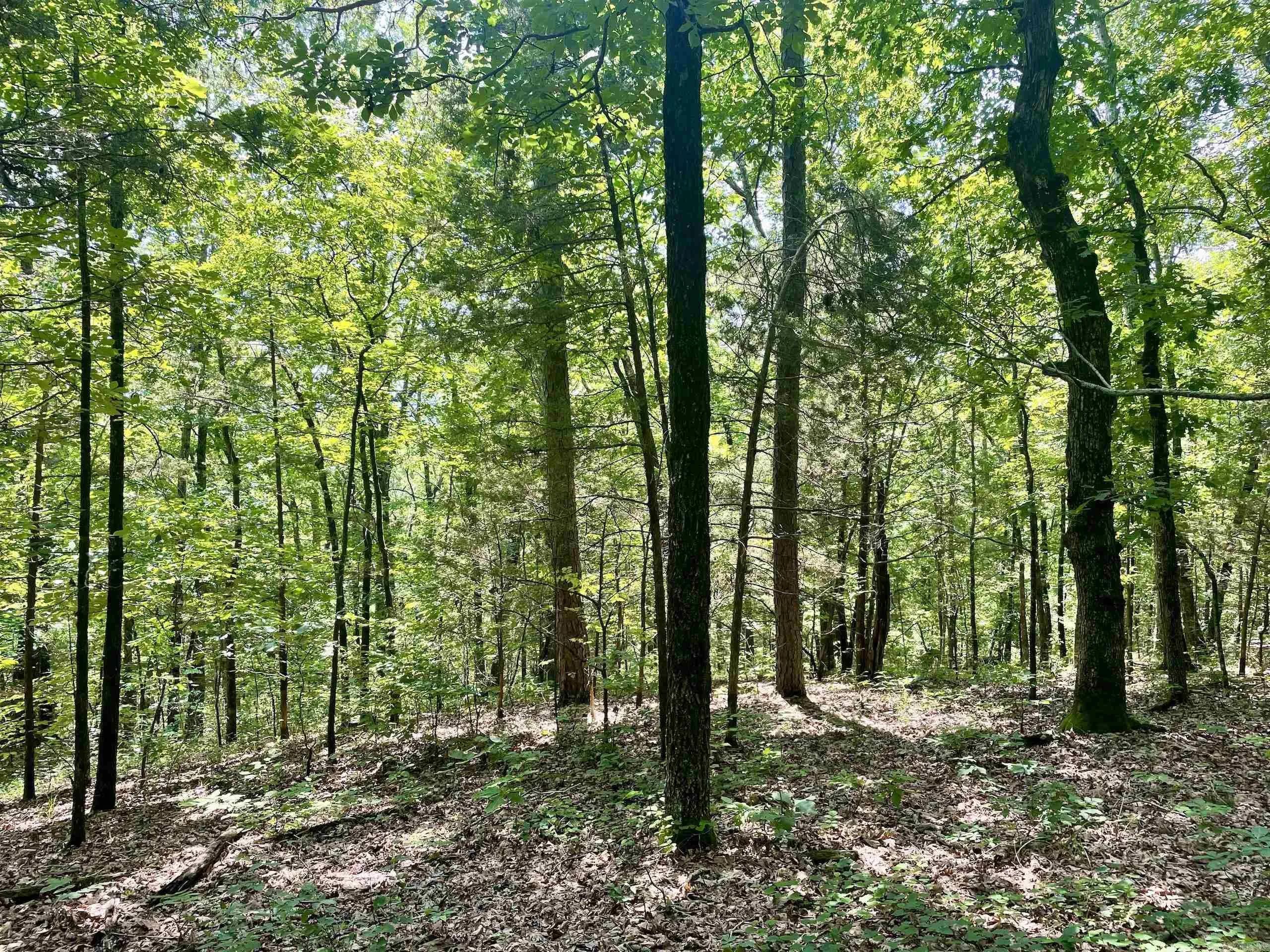 Property at 000  Resort - Image 45