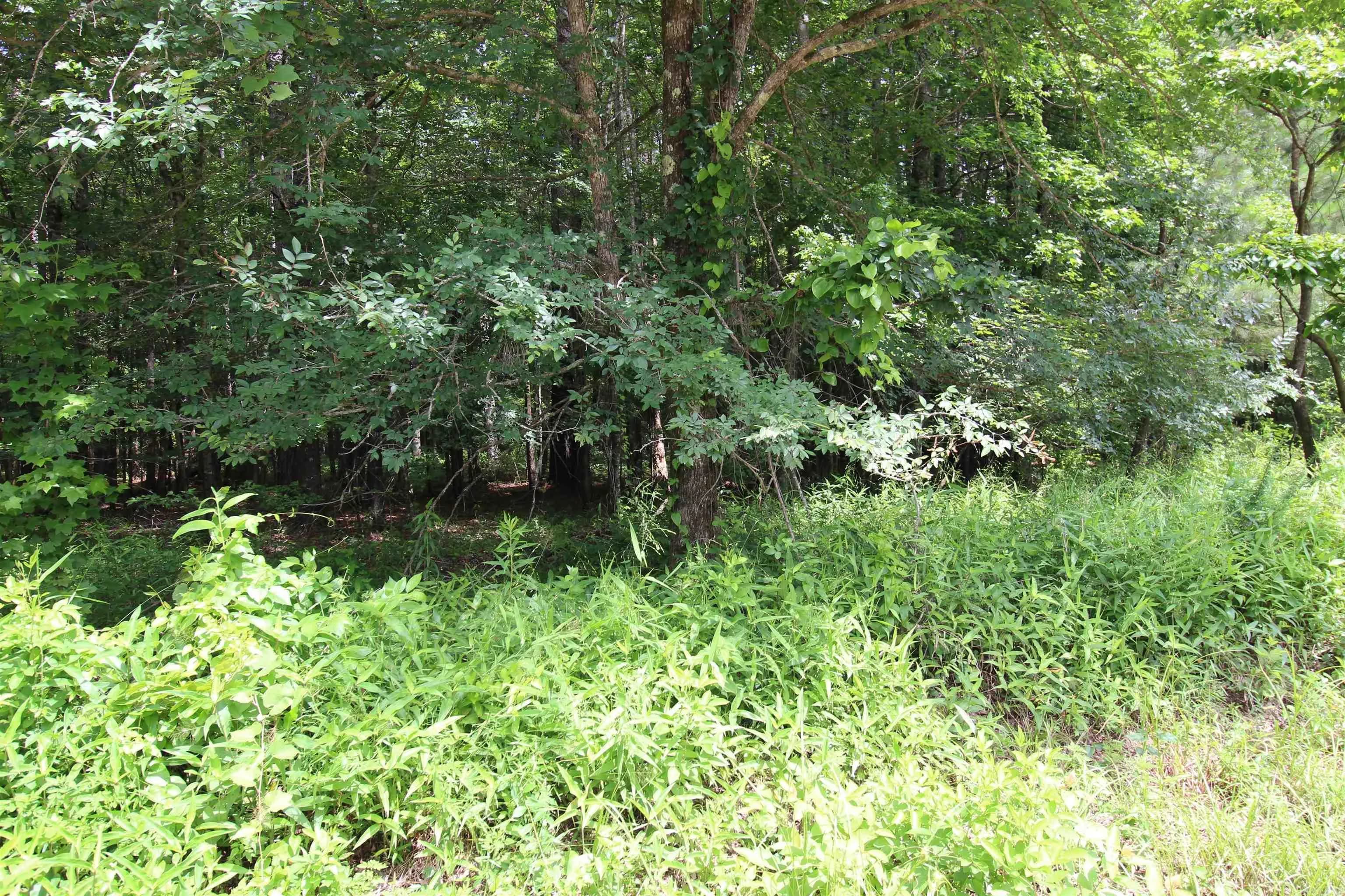 Property at 2230  Grant 29 road - Image 12