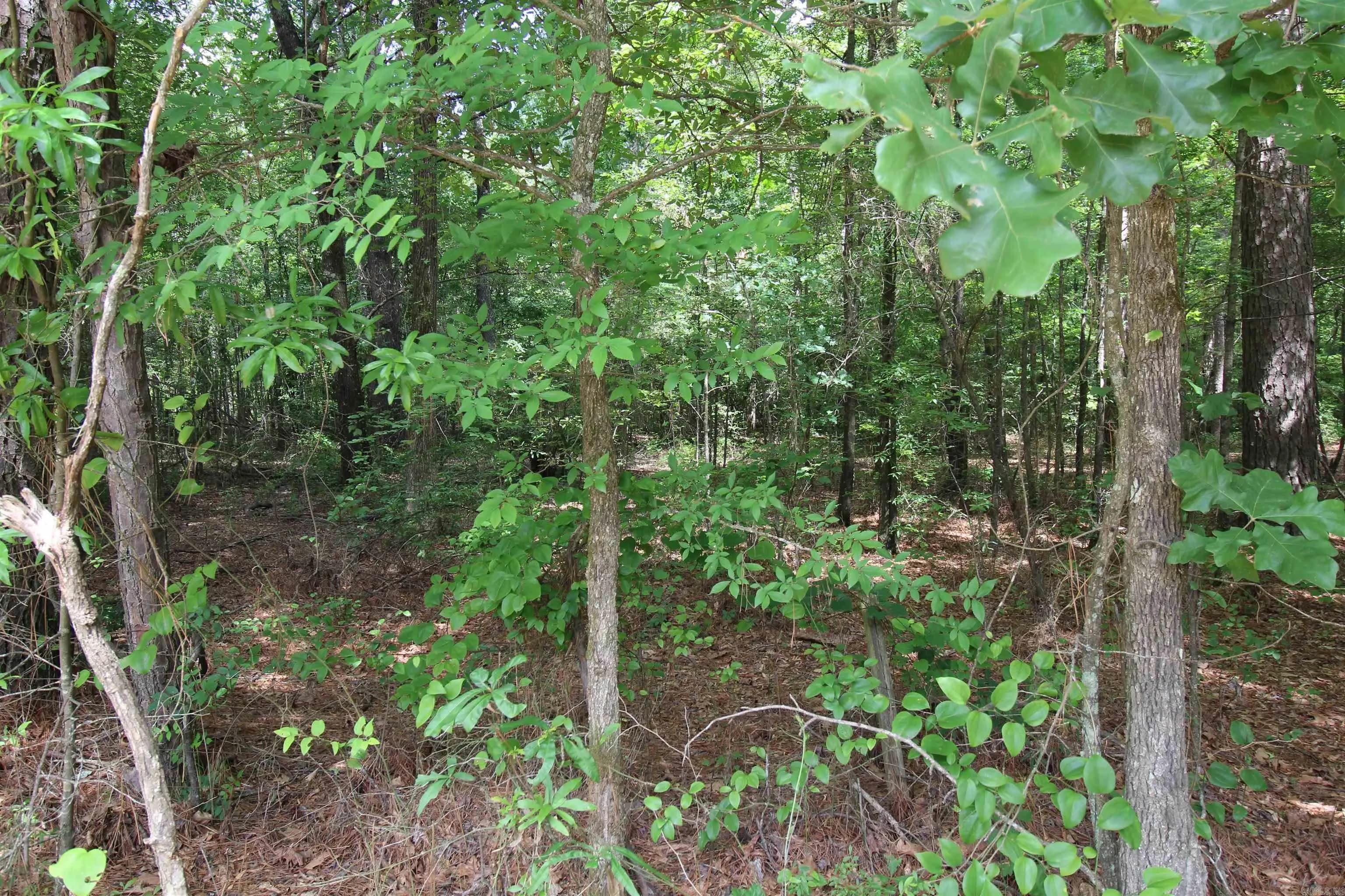 Property at 2230  Grant 29 road - Image 14