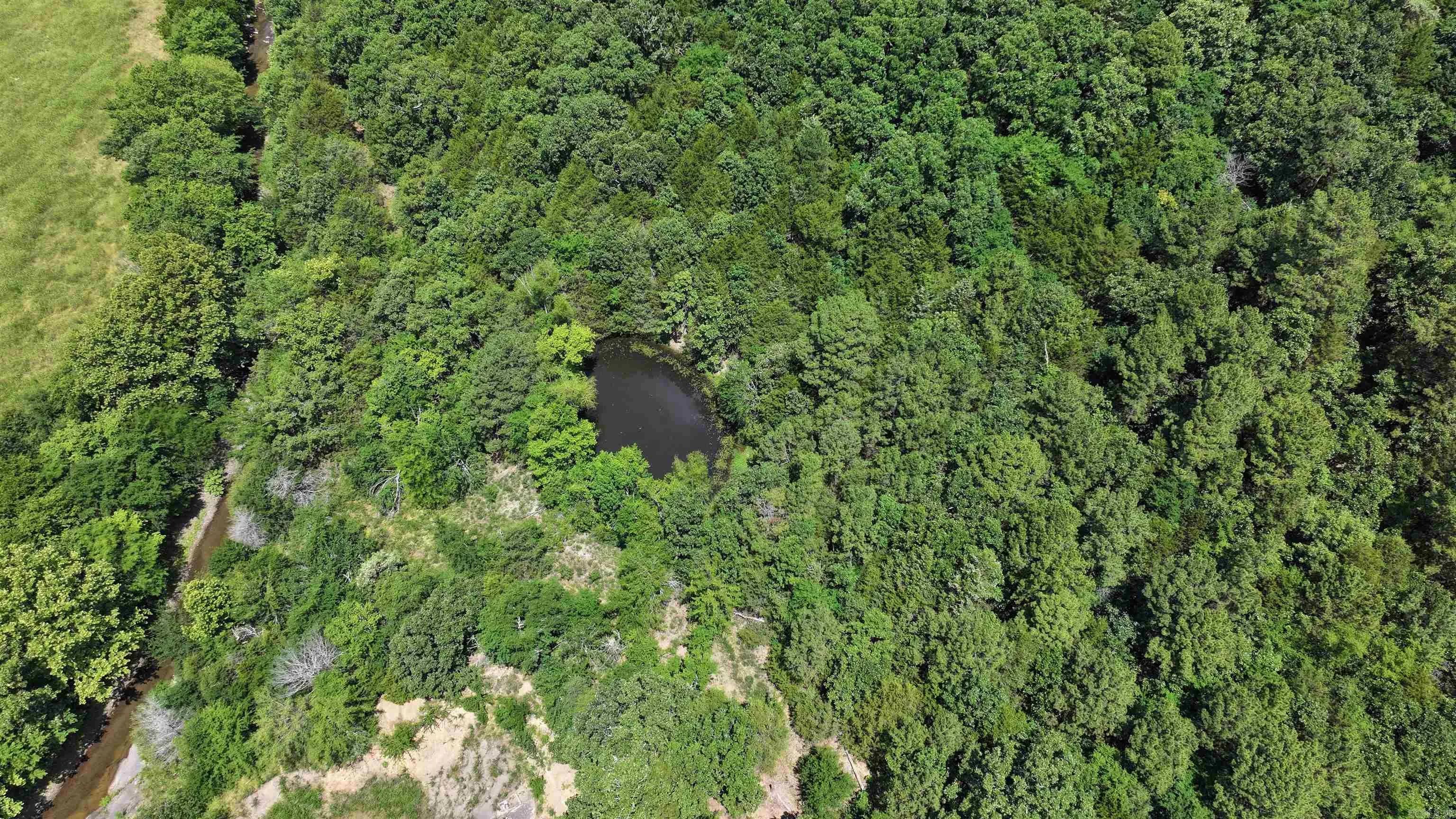 Property at 00  Easement - Image 41