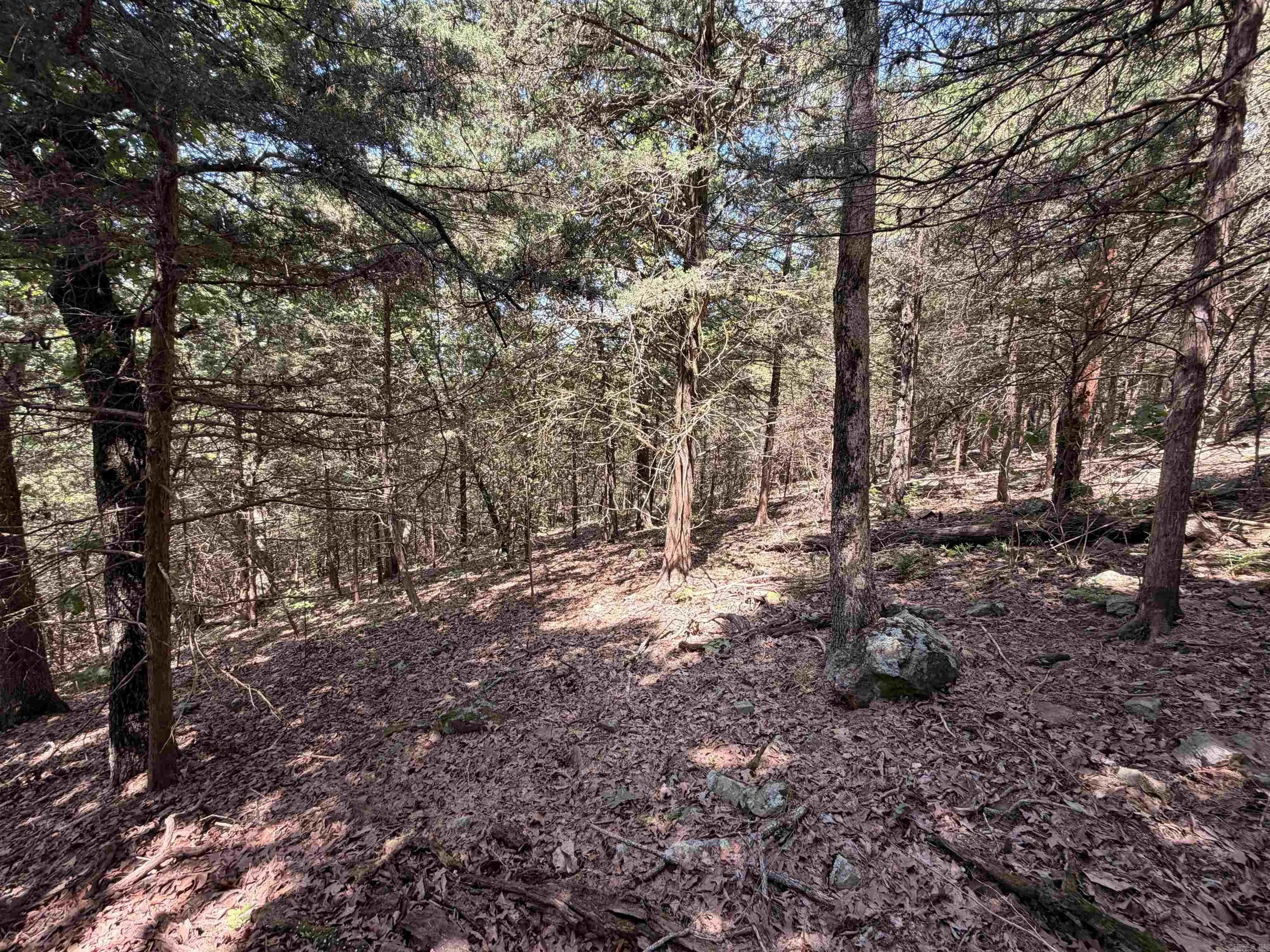 Property at 00  Easement - Image 22