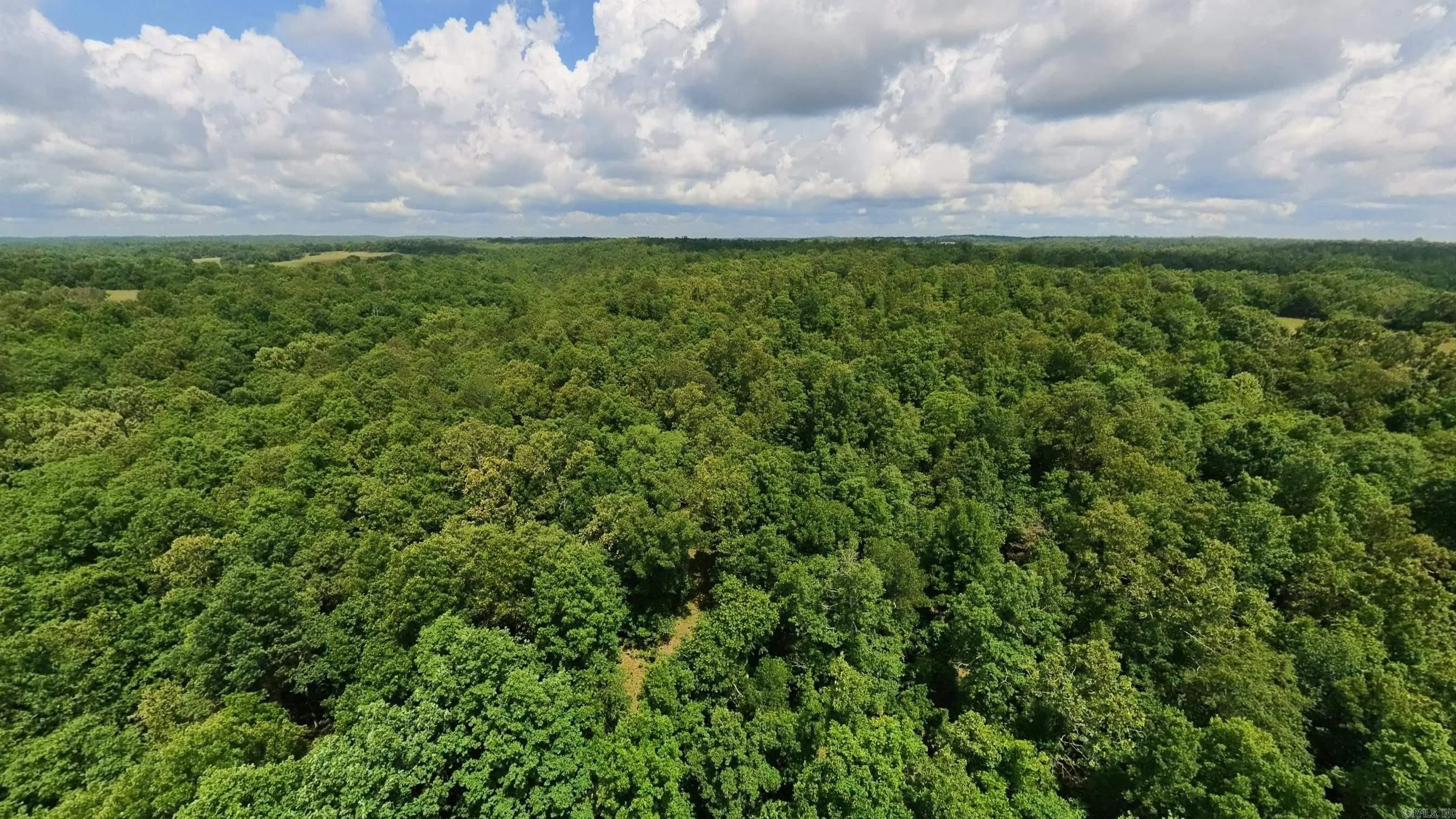 Property at 000  County road 200 - Image 49