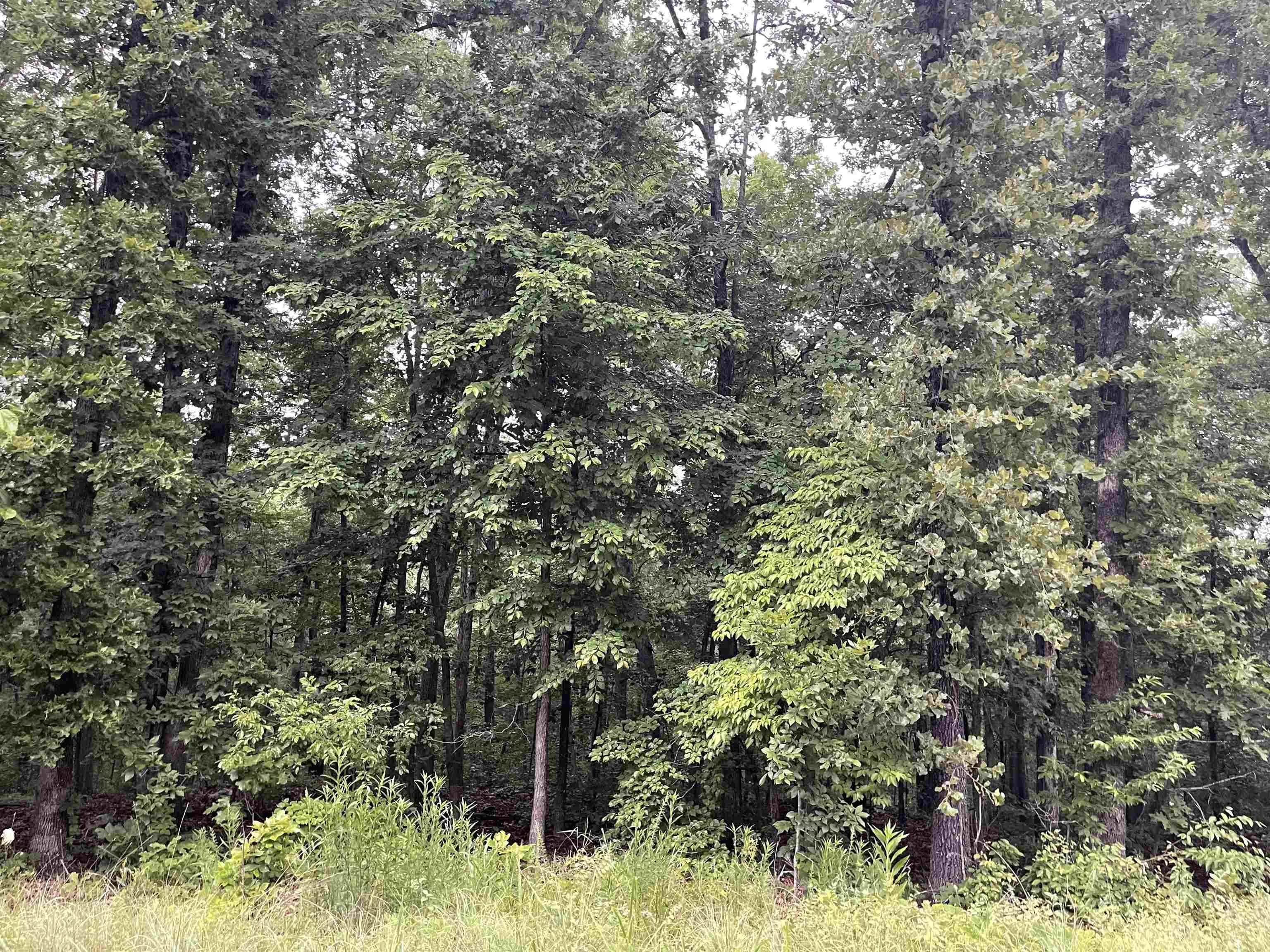 Property at TBD  Blackfoot - Image 2