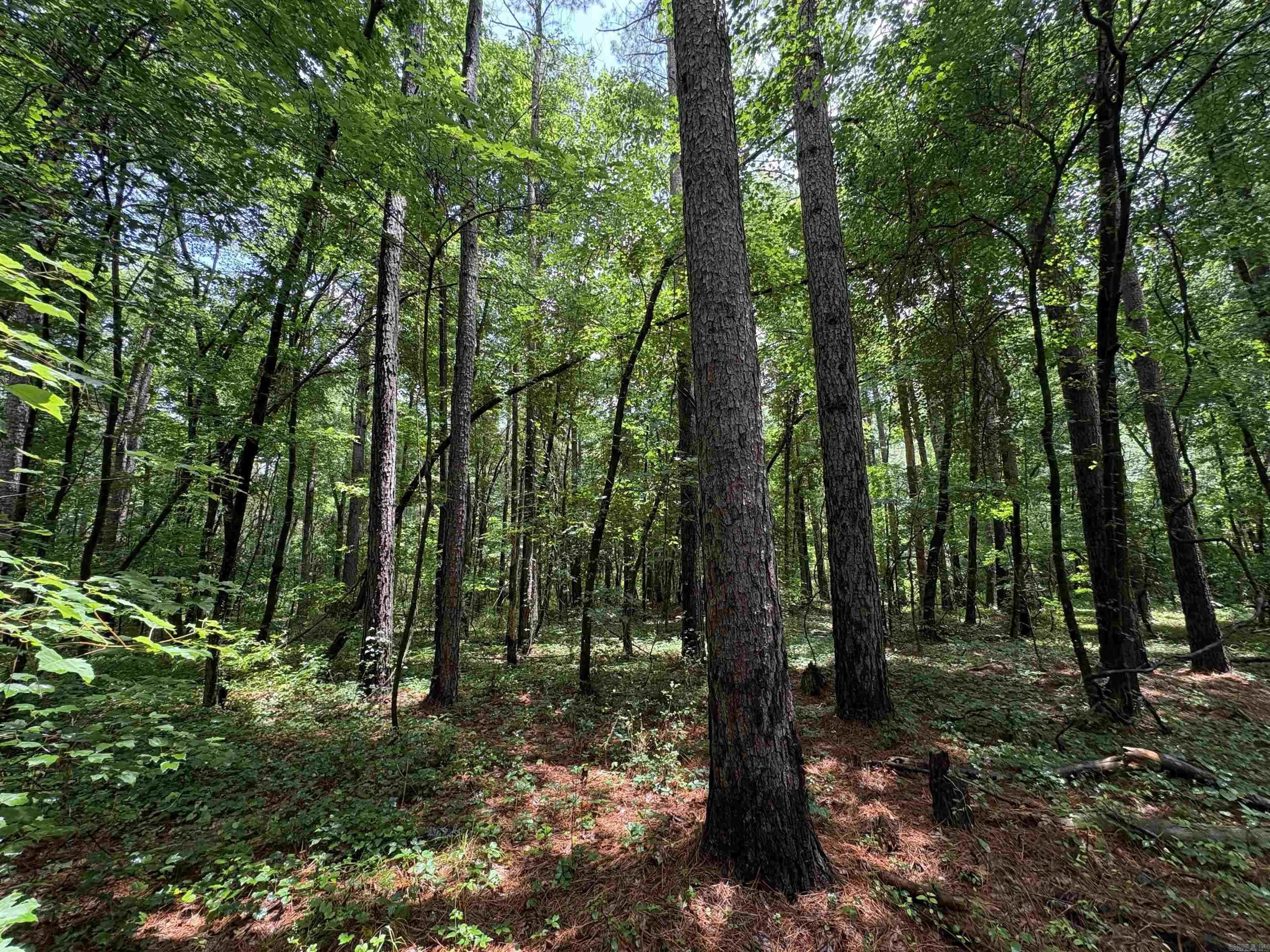 Property at 6.83 Acres  Sr 7 n - Image 10