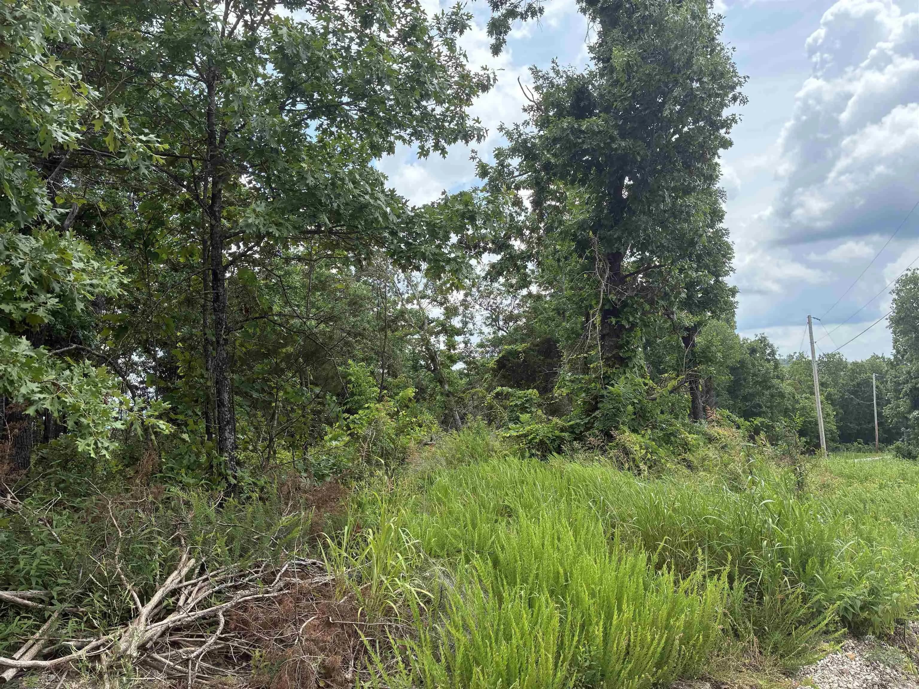 Property at 001-01040-000  Mc 6091 - Image 13