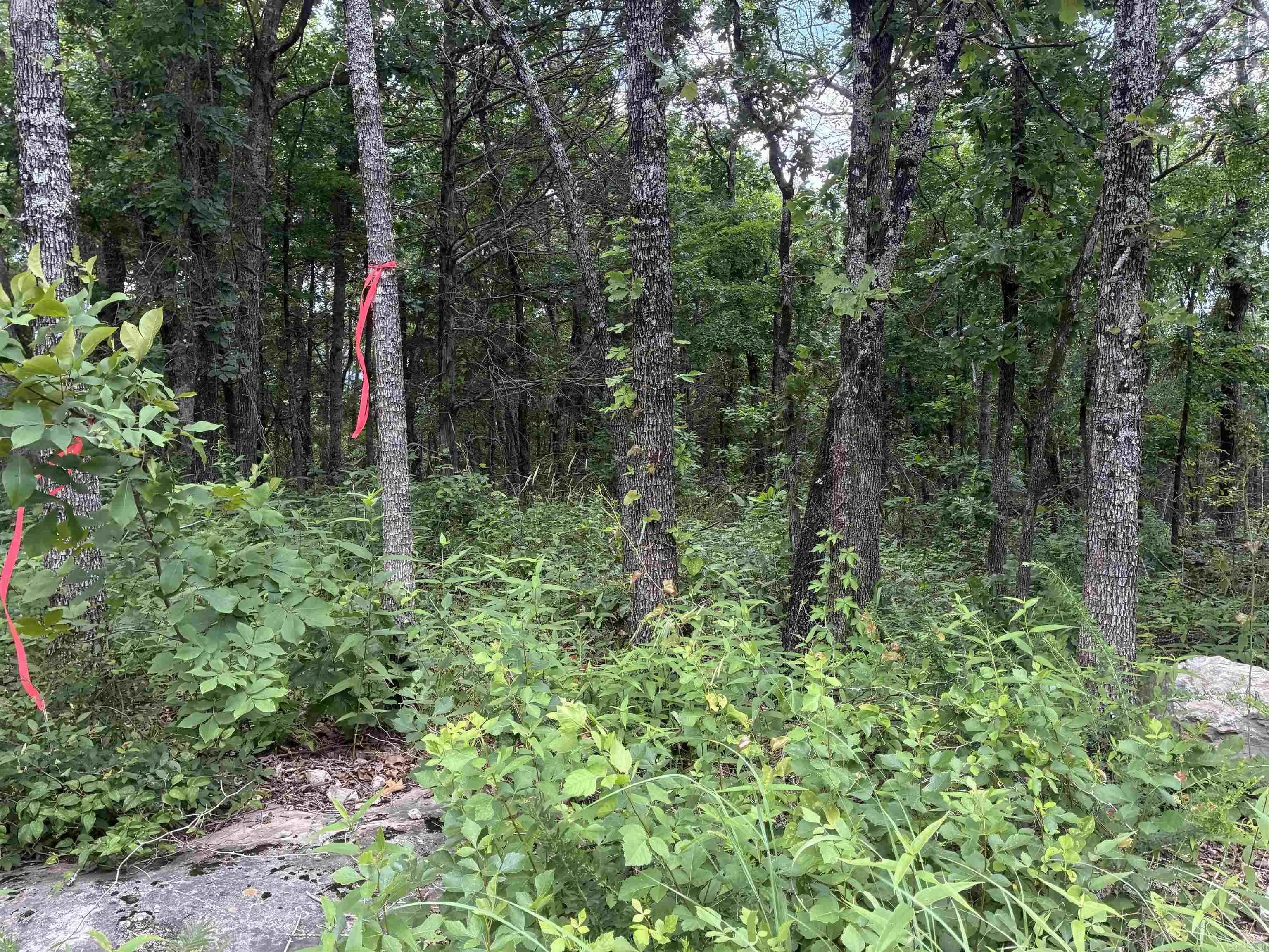 Property at 001-01040-000  Mc 6091 - Image 2