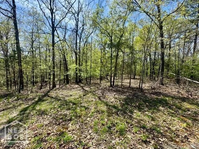 Property at 2101  Persimmon pond road #2044 - Image 23