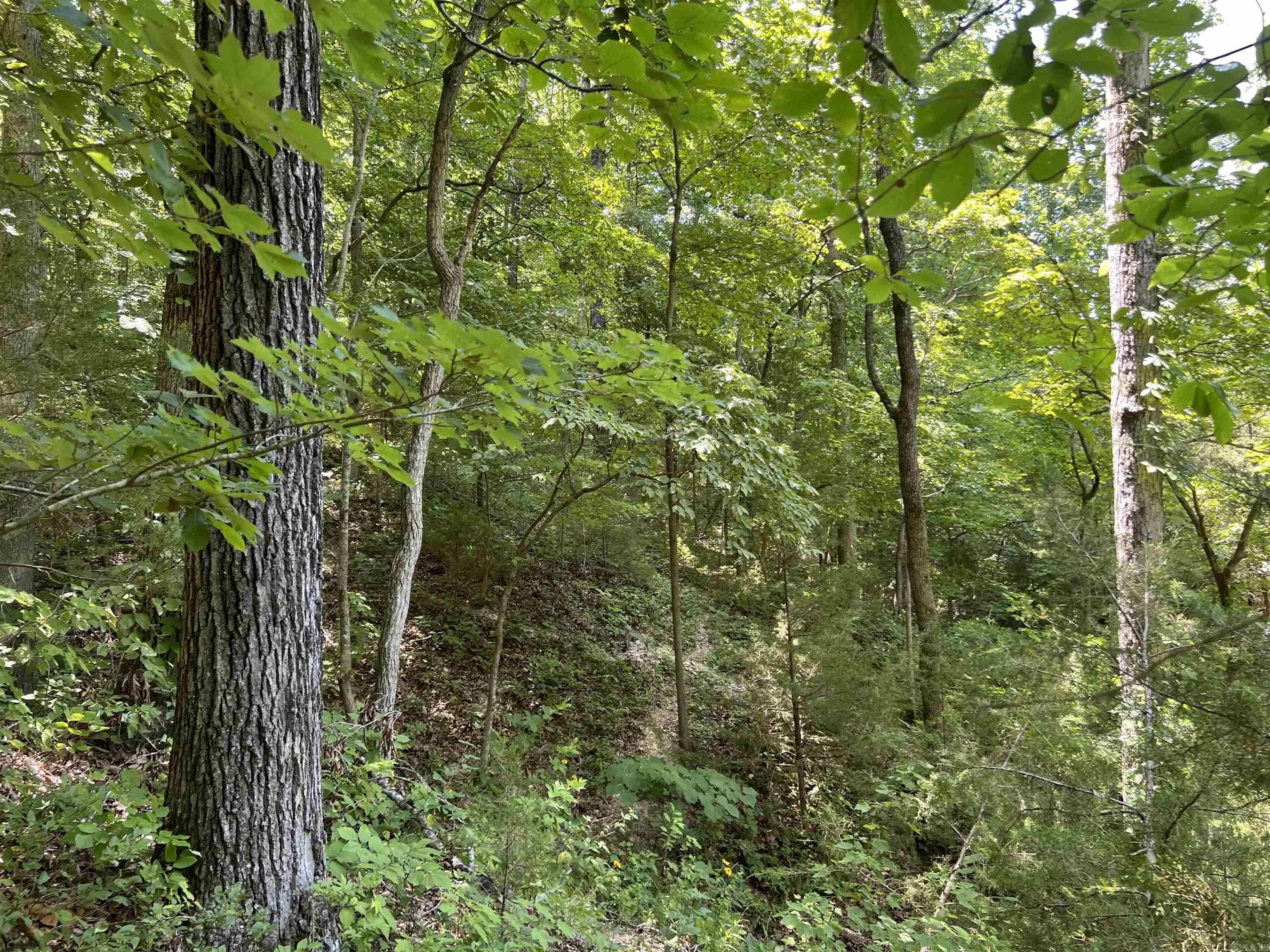 Property at 1717  Grassy - Image 30