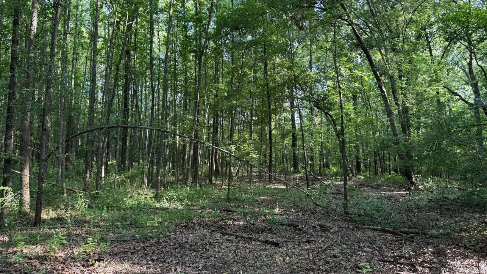 Property at 2212  Graham - Image 5