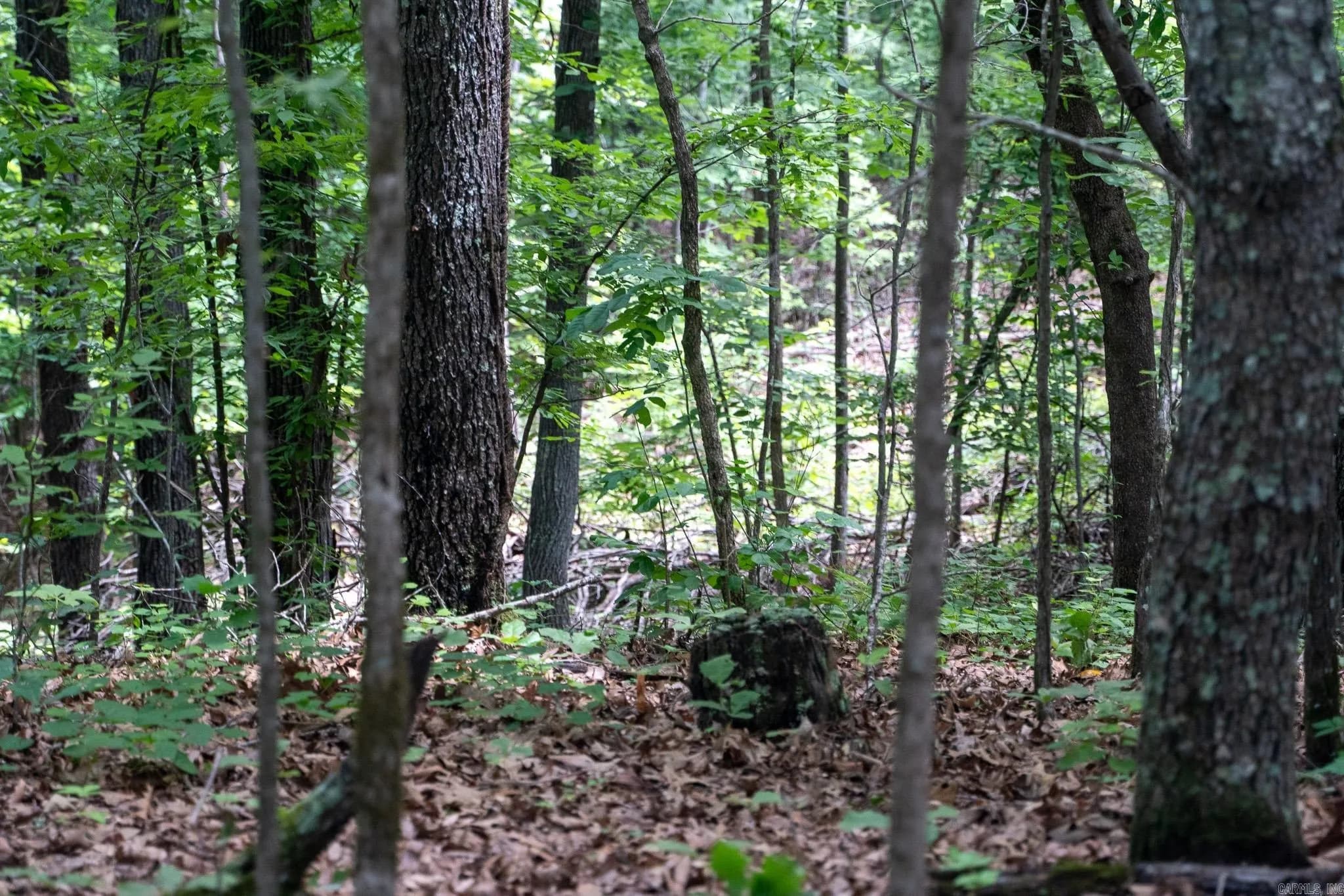 Property at 000  Bay lane - Image 36