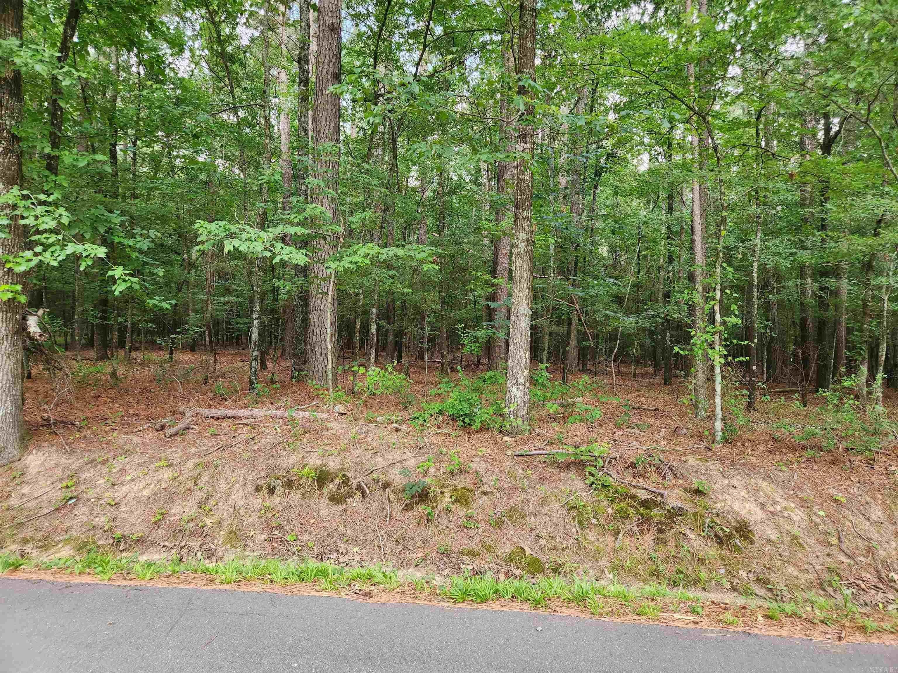 Property at 000  Roosevelt - Image 23