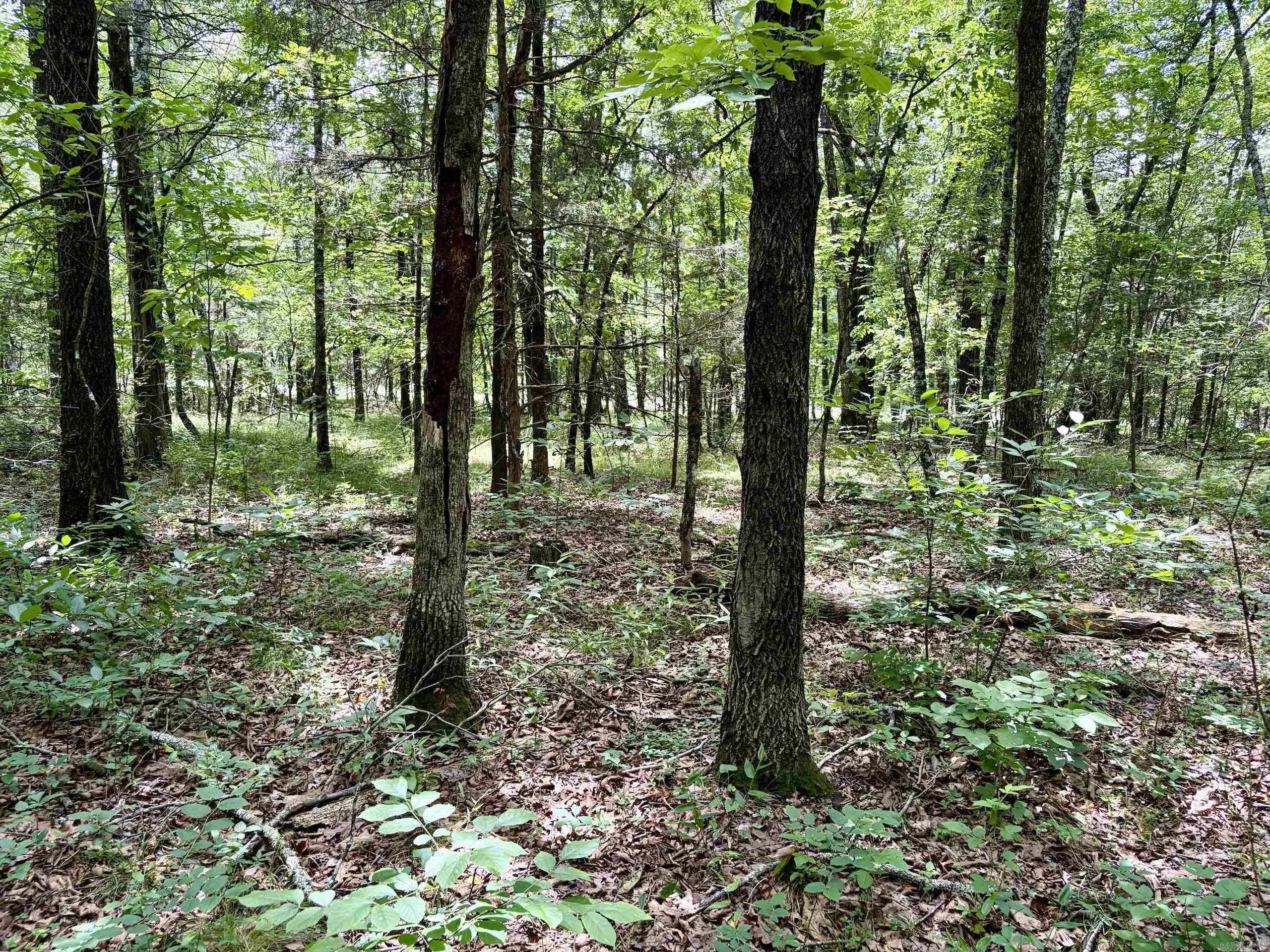 Property at 000  Arkansas ave - Image 16