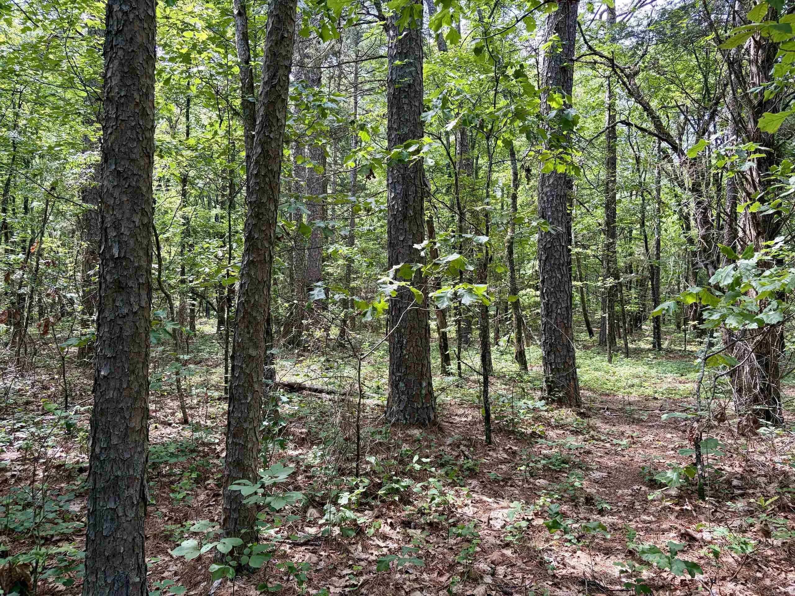 Property at 2475  Holly mountain road - Image 35