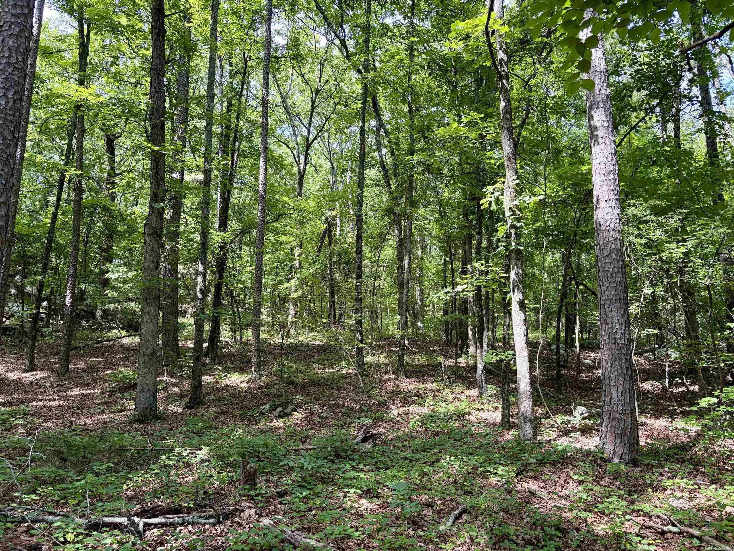 Property at 2475  Holly mountain road - Image 16
