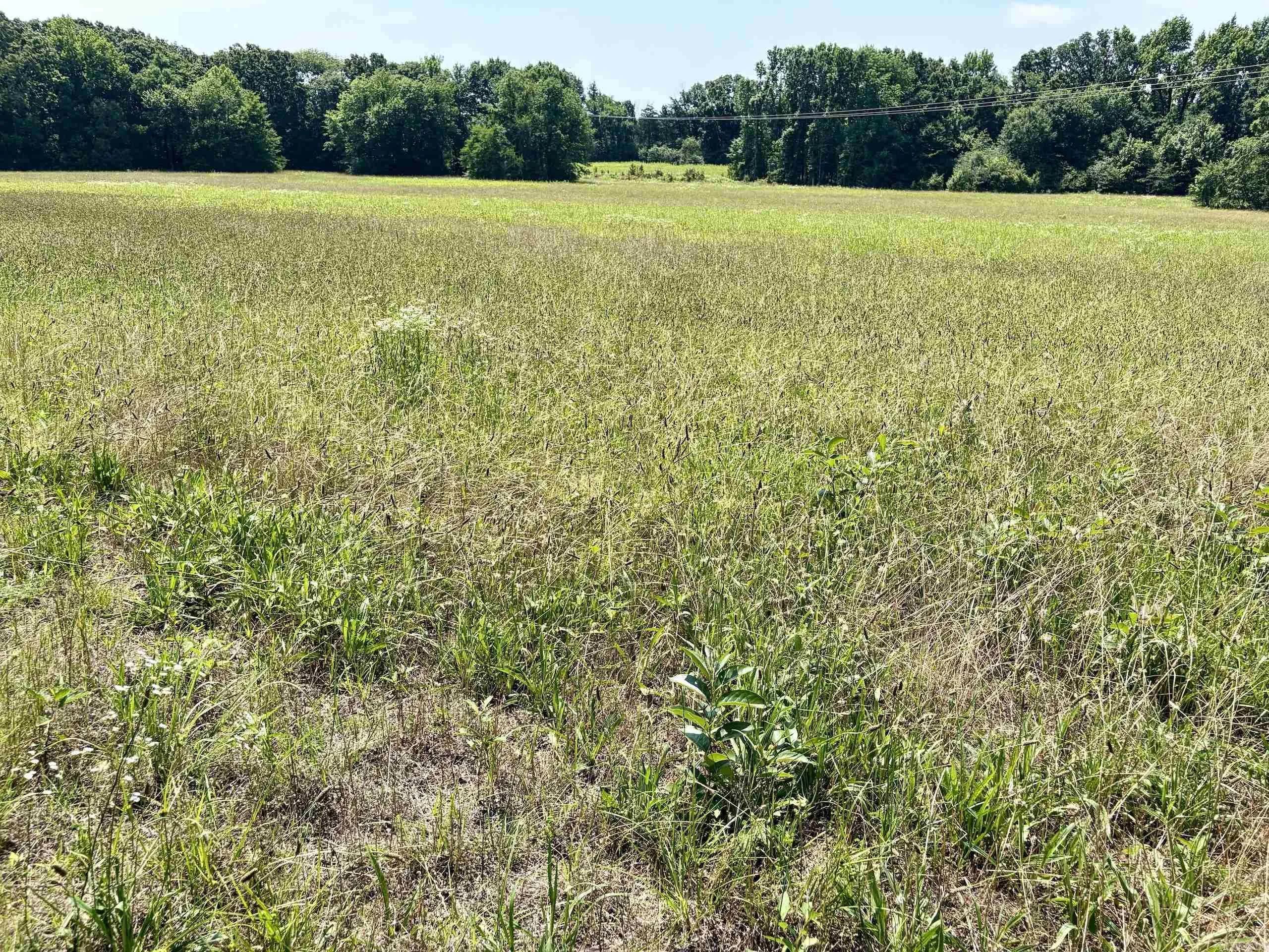 Property at 000  State hwy 9 - Image 36
