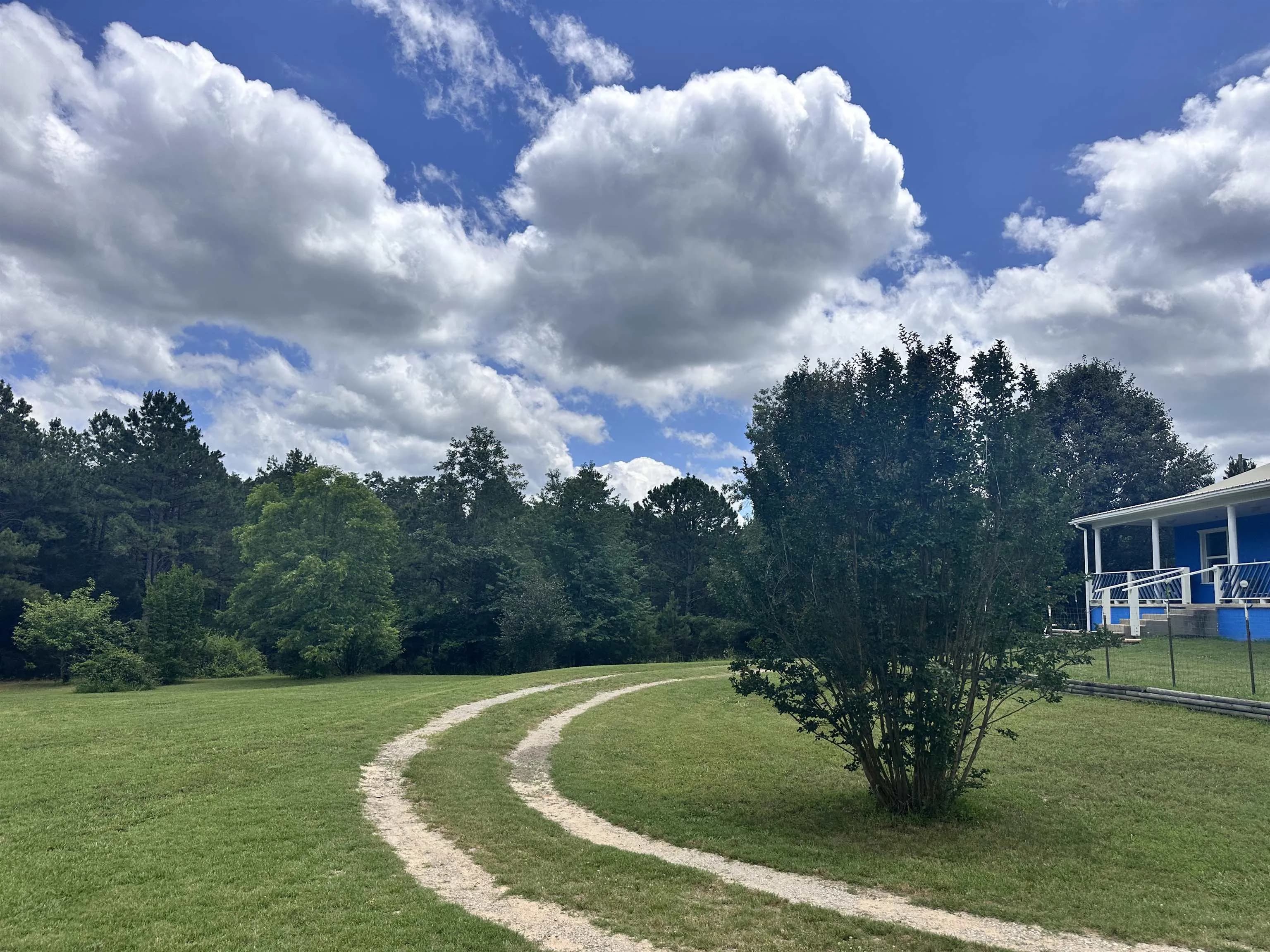 Property at 1311  Blevins abbott - Image 3