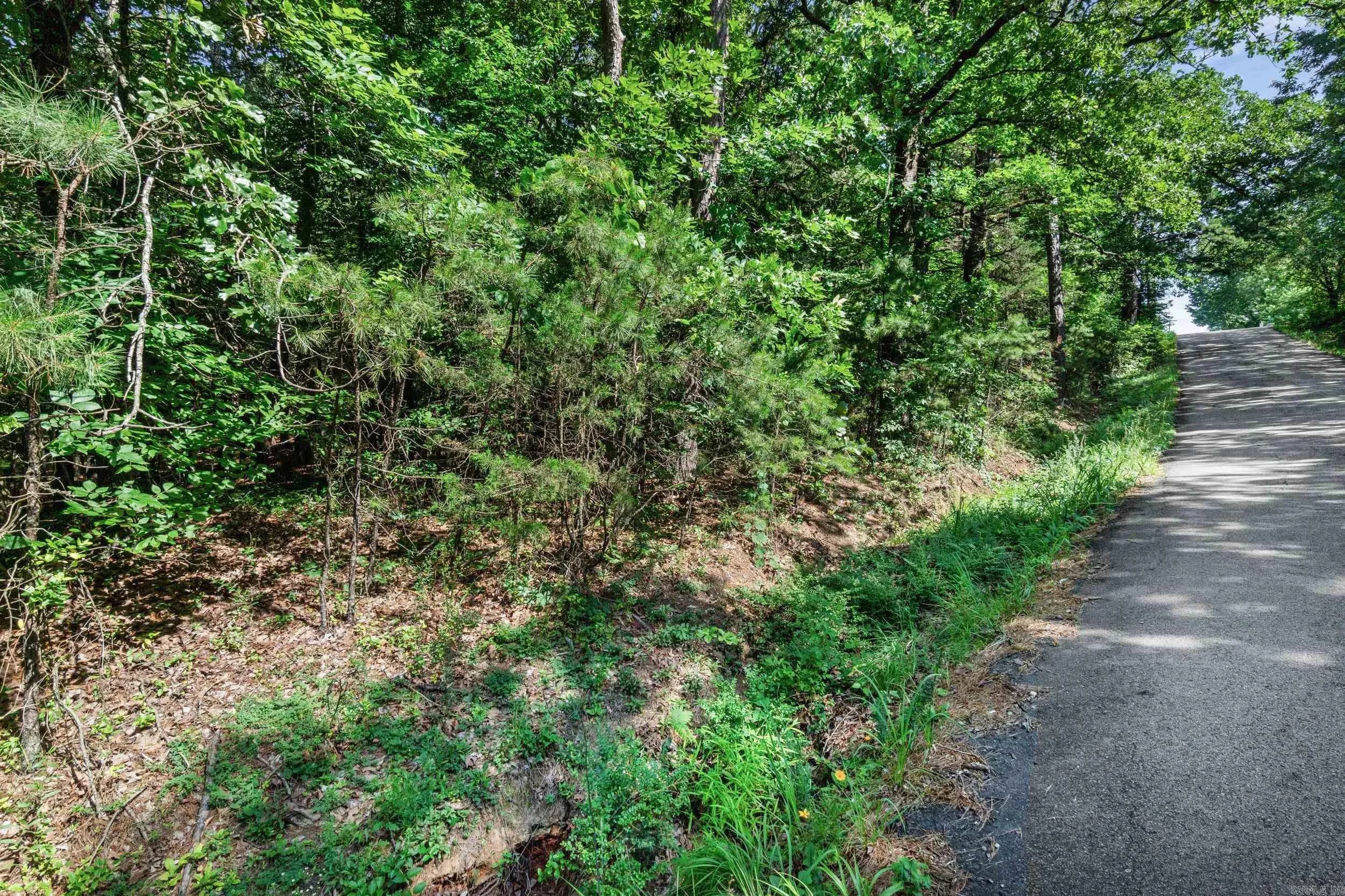 Property at 100  Sunnymeadow/broadway - Image 11