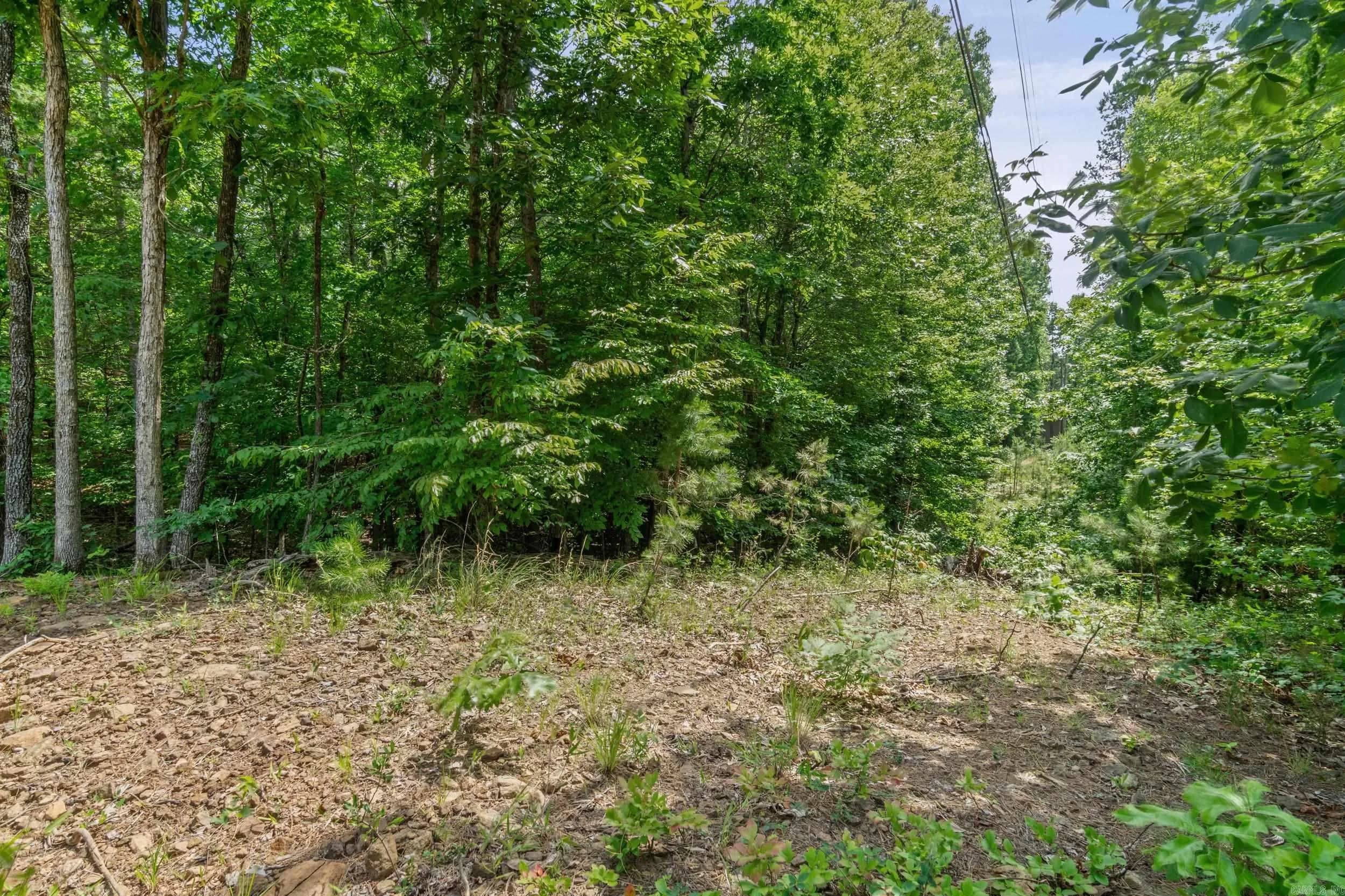 Property at Tract 2  Robinhood trail - Image 10