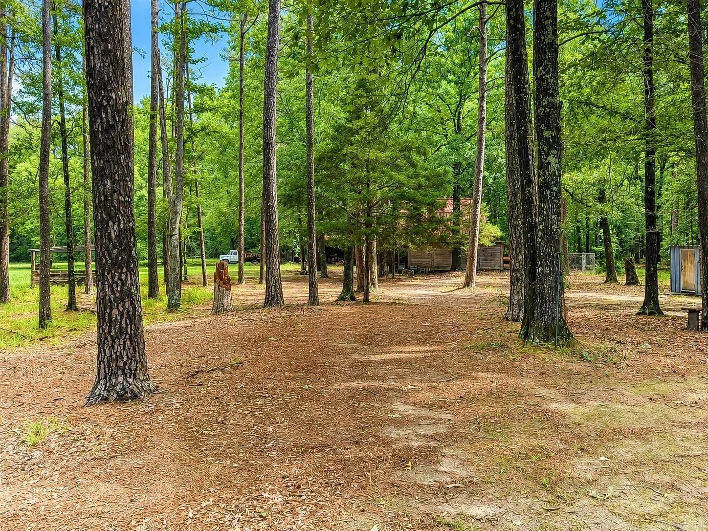 Property at 2711  Cook - Image 24