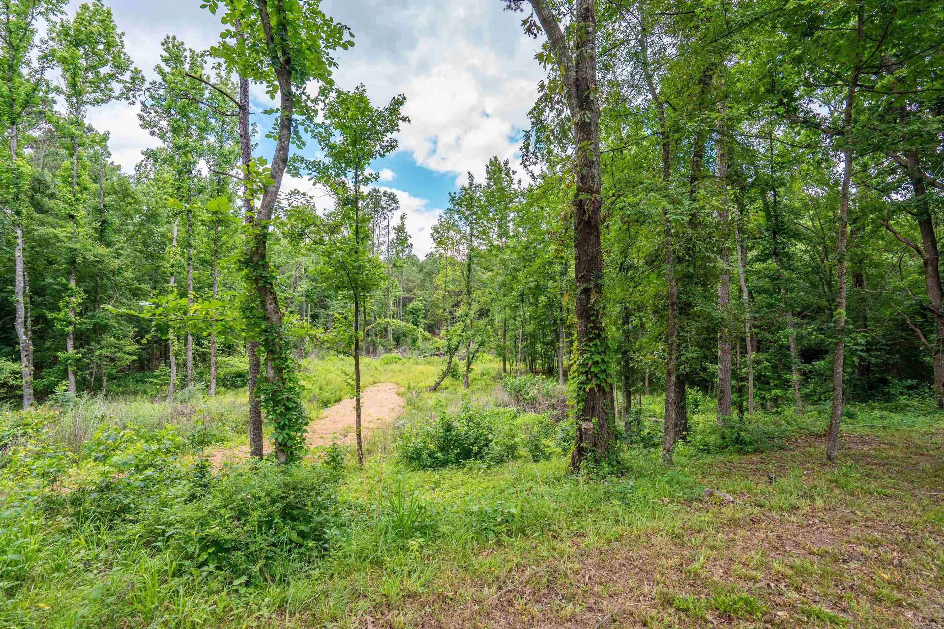 Property at 4598  Airport - Image 28