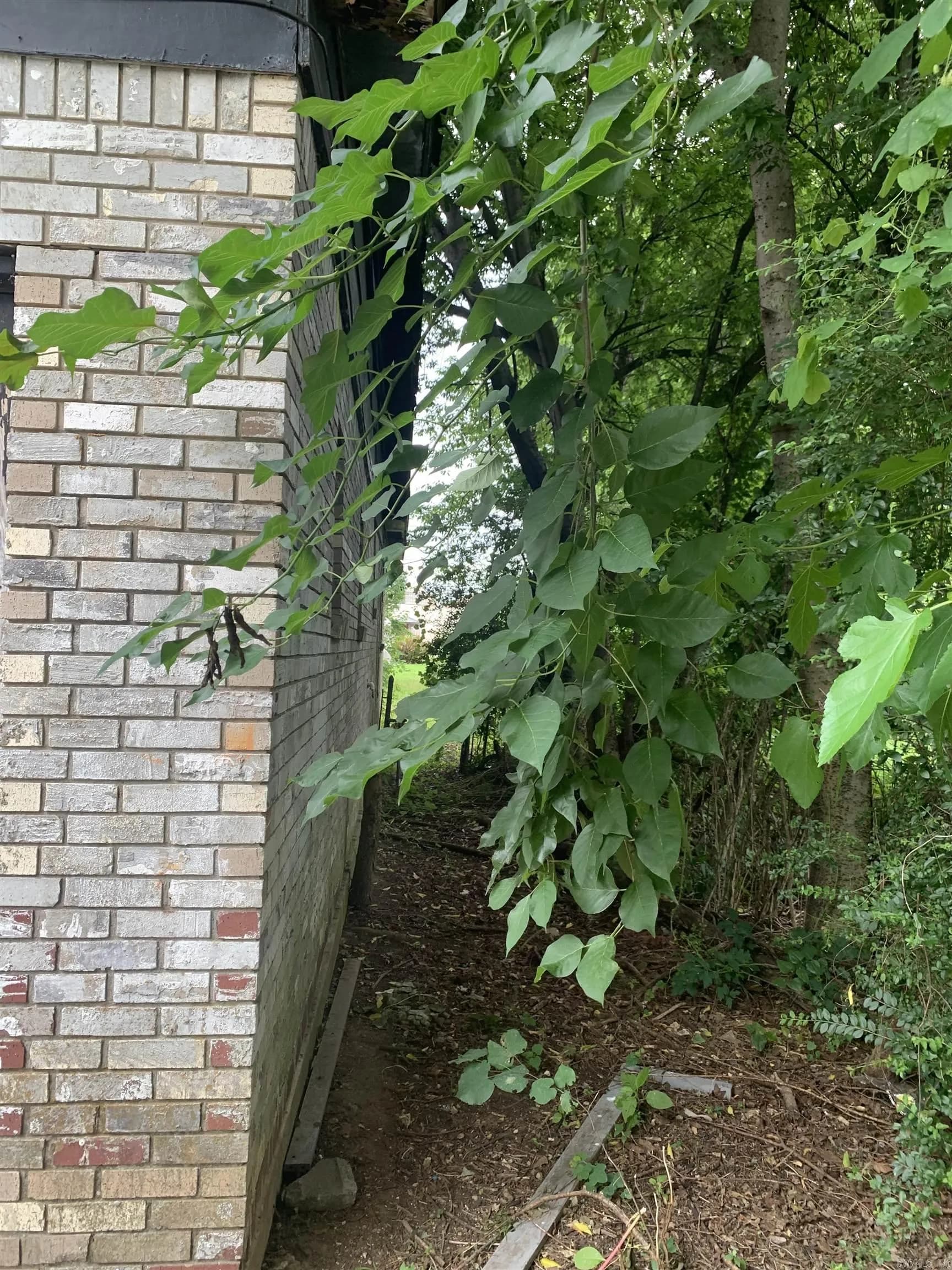 Property at 1112 S Pulaski - Image 23