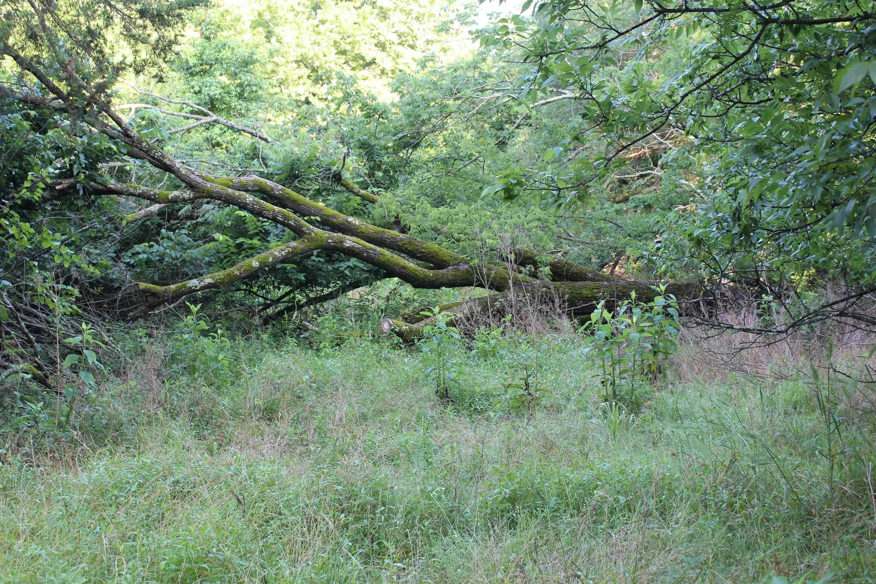 Property at 000  197 - Image 42
