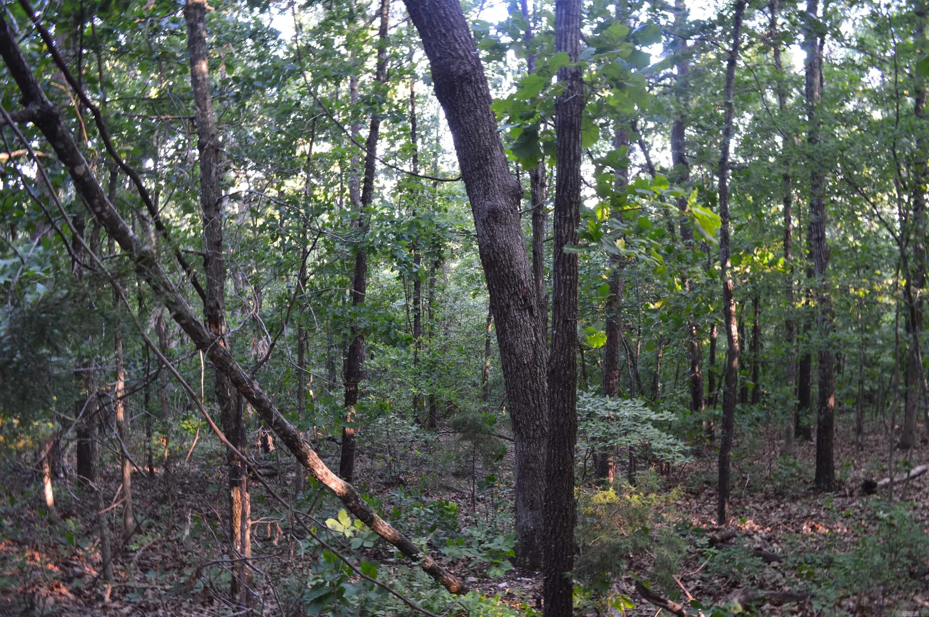Property at TBD  Schnauzer ln - Image 9