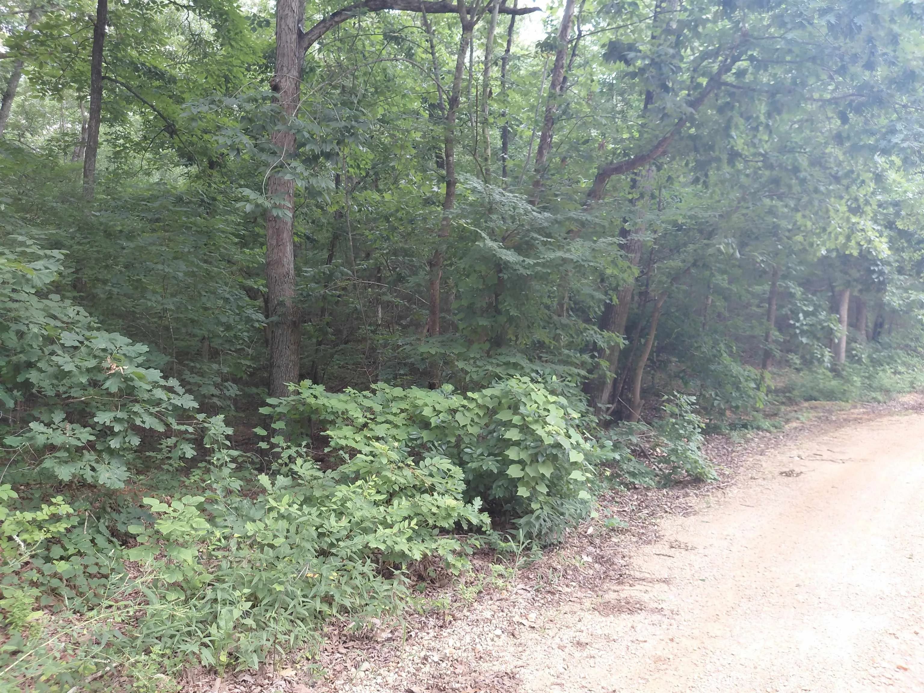 Property at W Lakeshore - Image 1