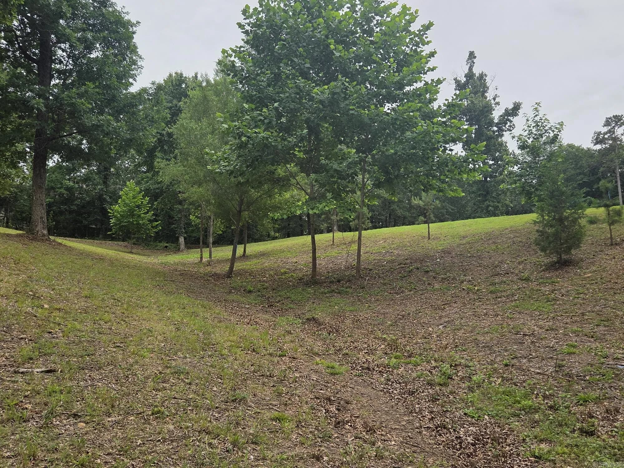 Property at Lot 23  Sylvia finch misty mountain - Image 17