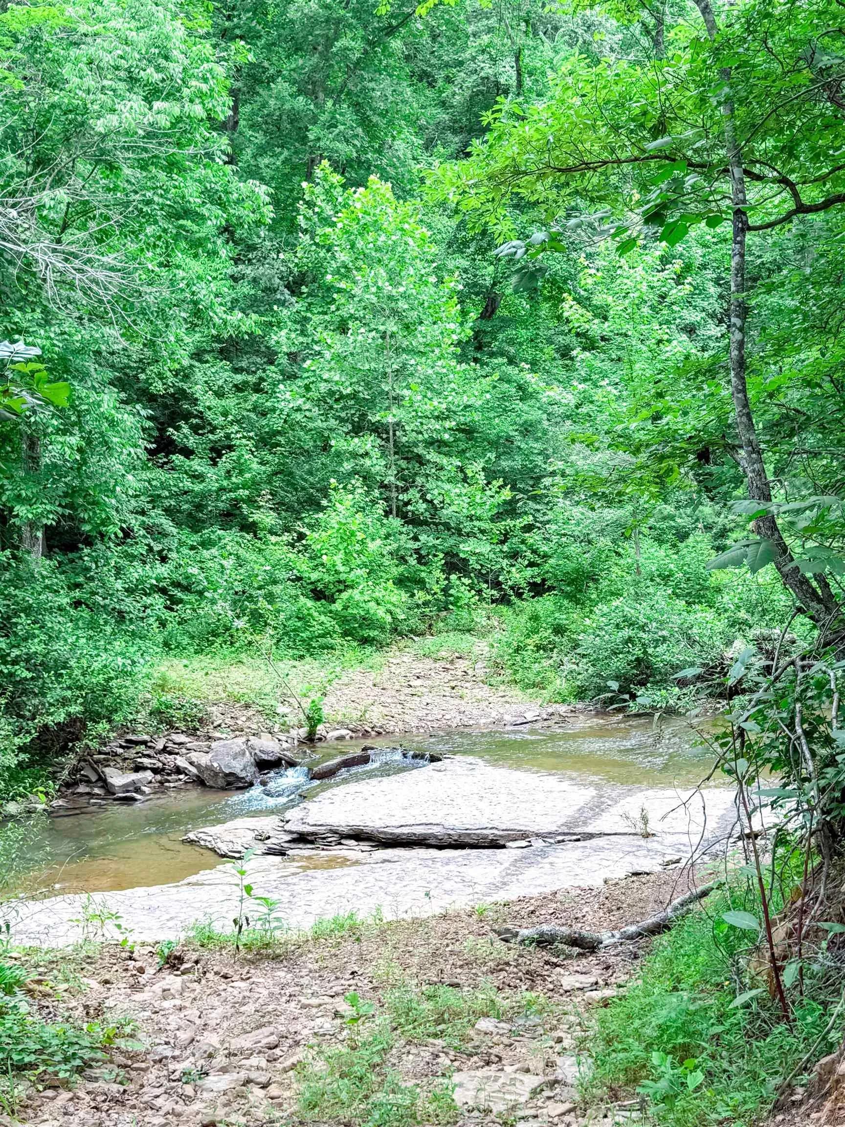 Property at 113  Wells drive - Image 15