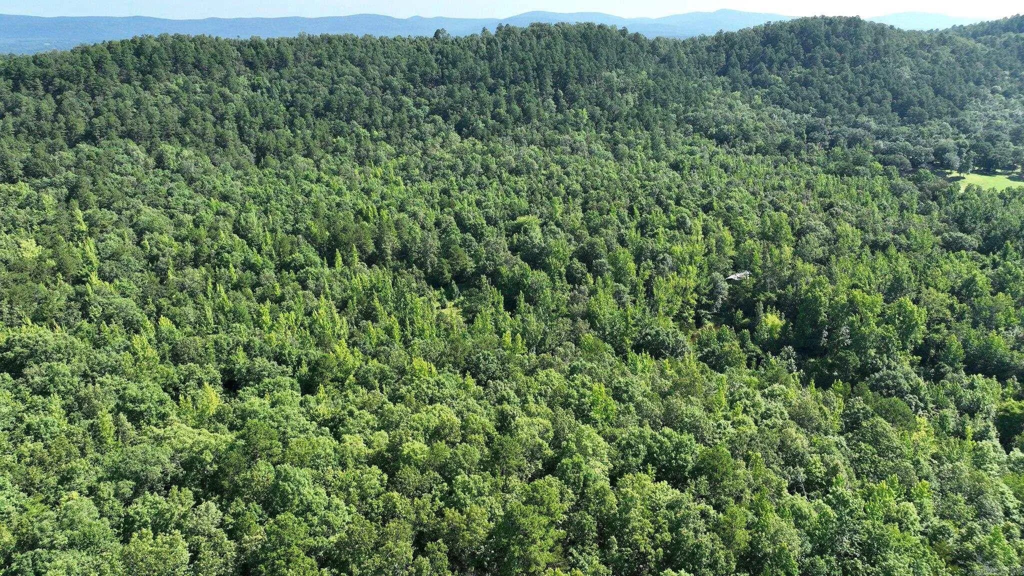 Property at TBD  Polk road 69 - Image 1