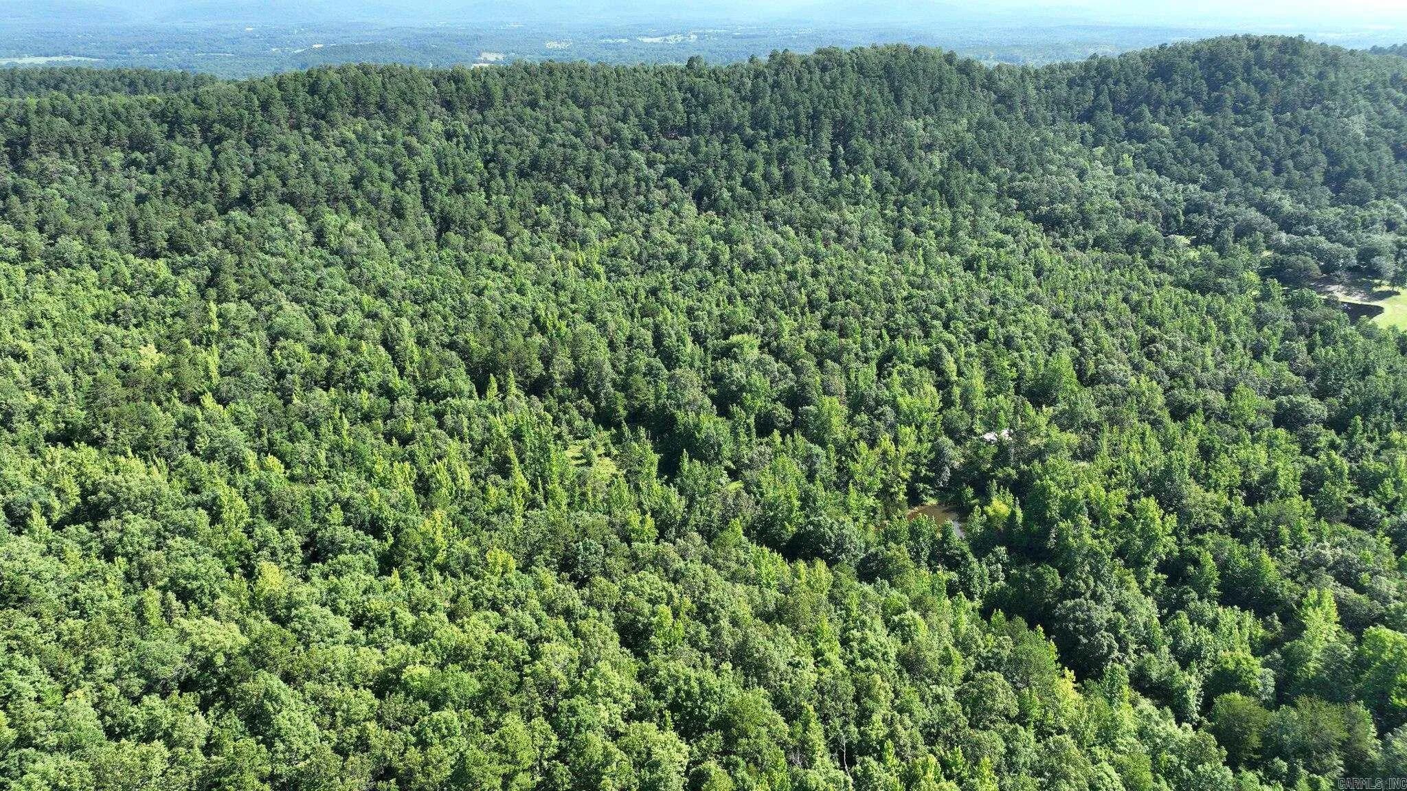 Property at TBD  Polk road 69 - Image 5