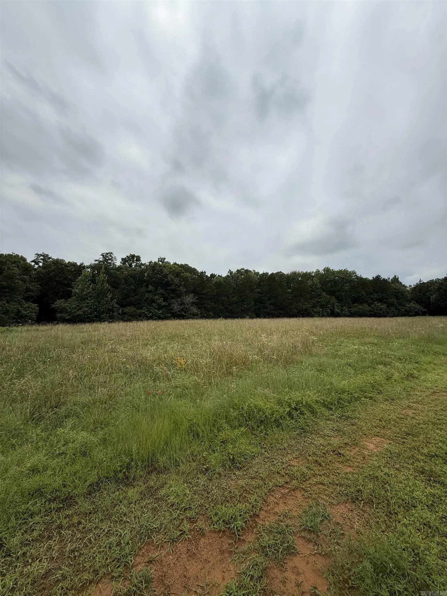 Property at 1092  Georgia ridge rd - Image 6