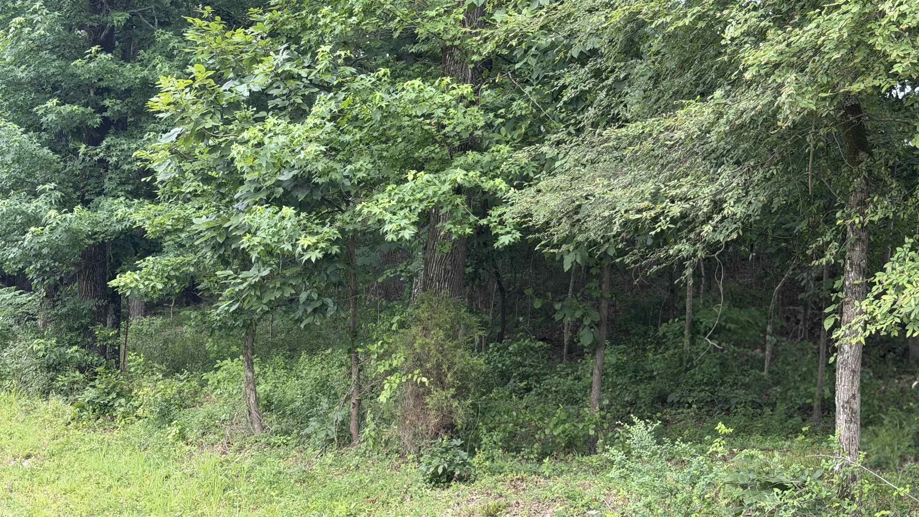 Property at 000  Buffington road - Image 13