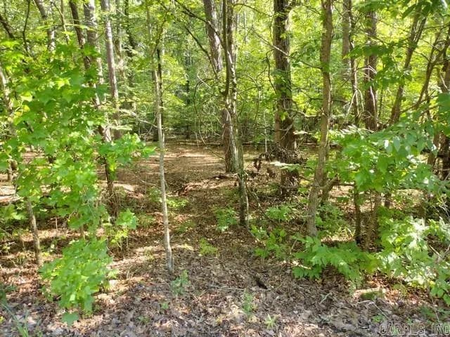 Property at 9  Belleza - Image 2