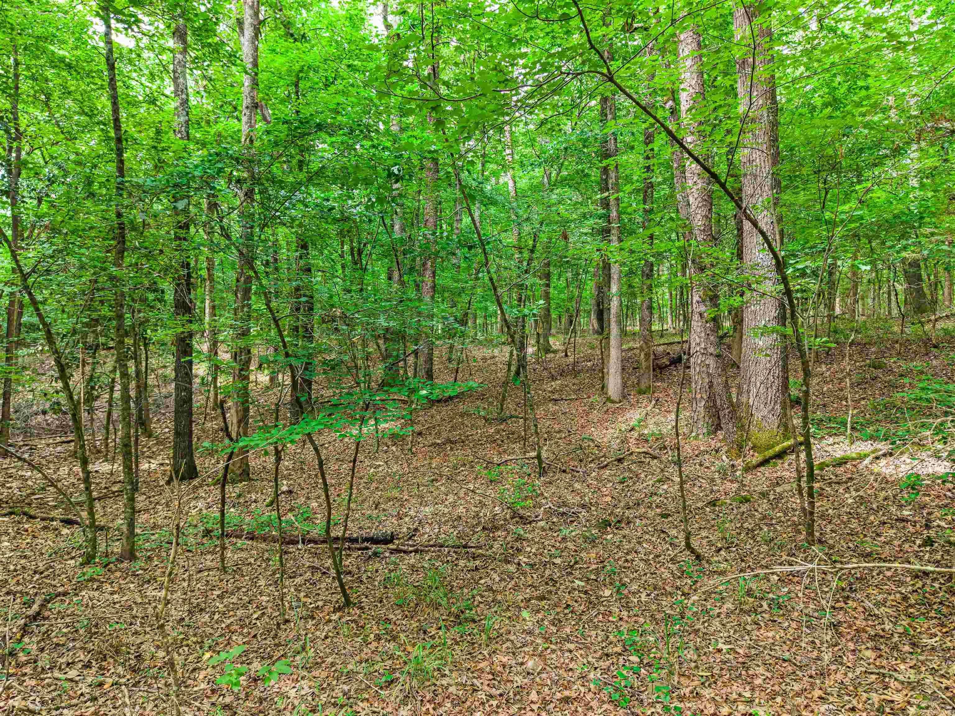 Property at TBD  Fox pass cutoff - Image 17