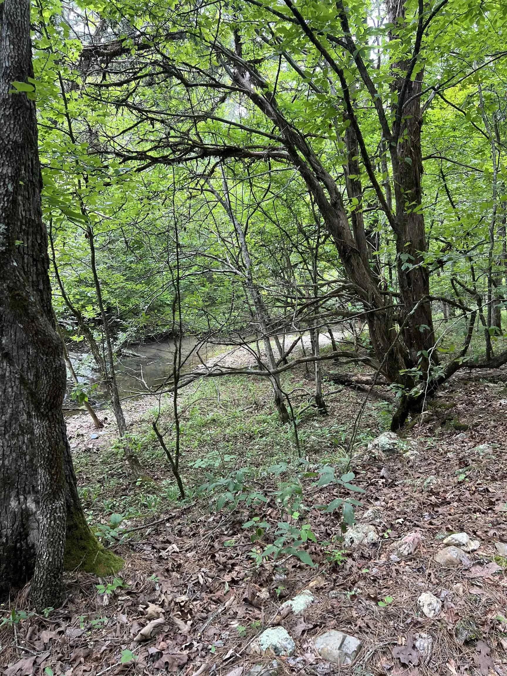 Property at TBD  Pleasant point - Image 9