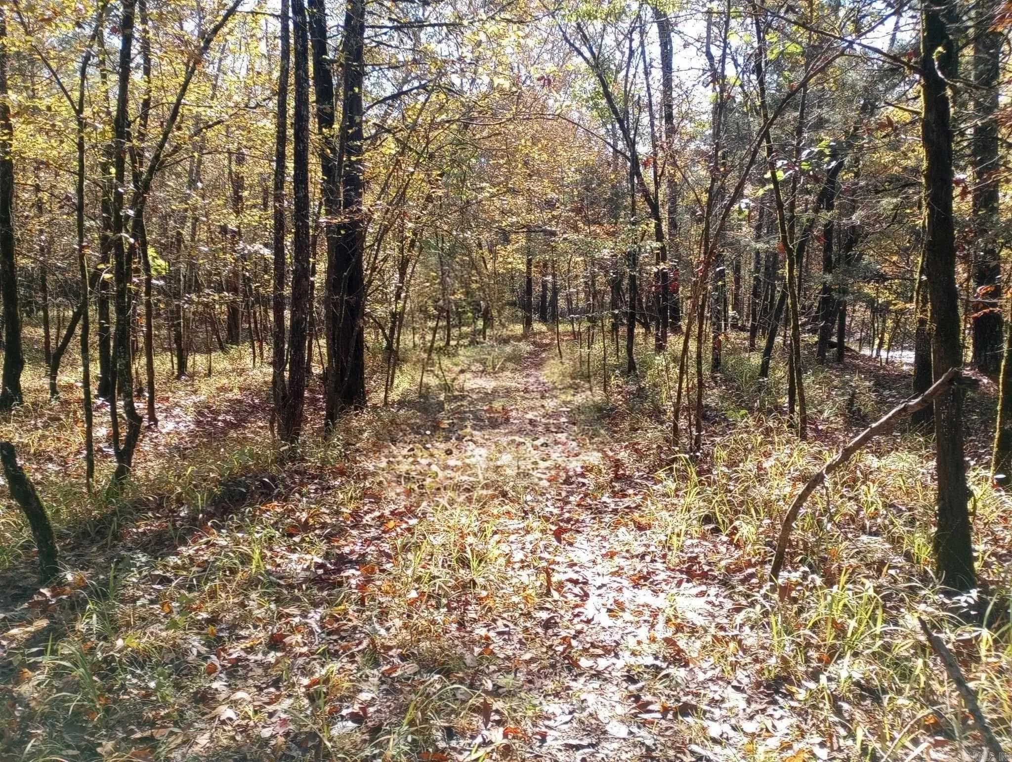 Property at TBD  Pleasant point - Image 39