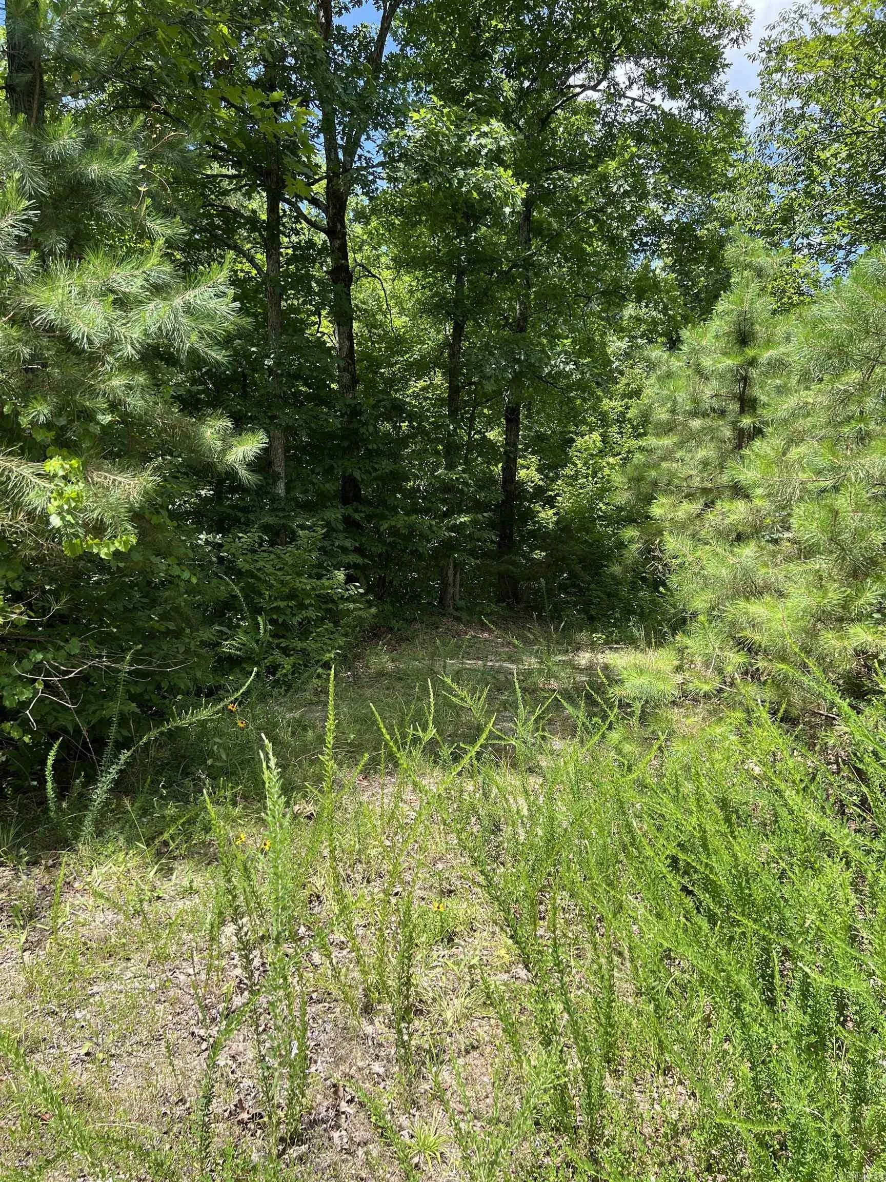 Property at TBD  Pleasant point - Image 23