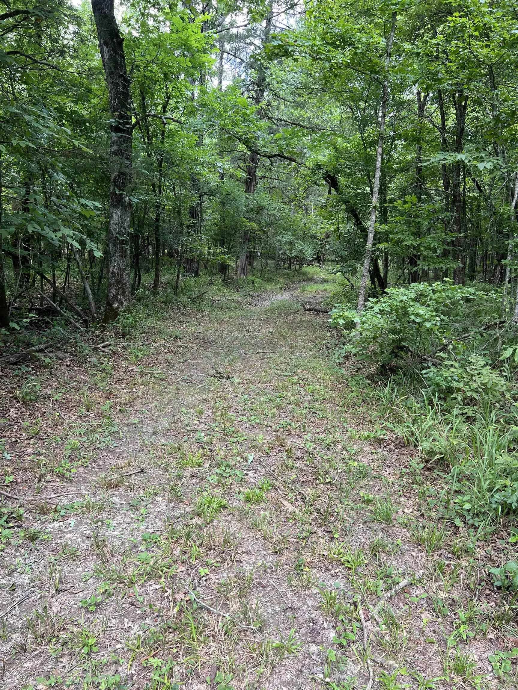 Property at TBD  Pleasant point - Image 16