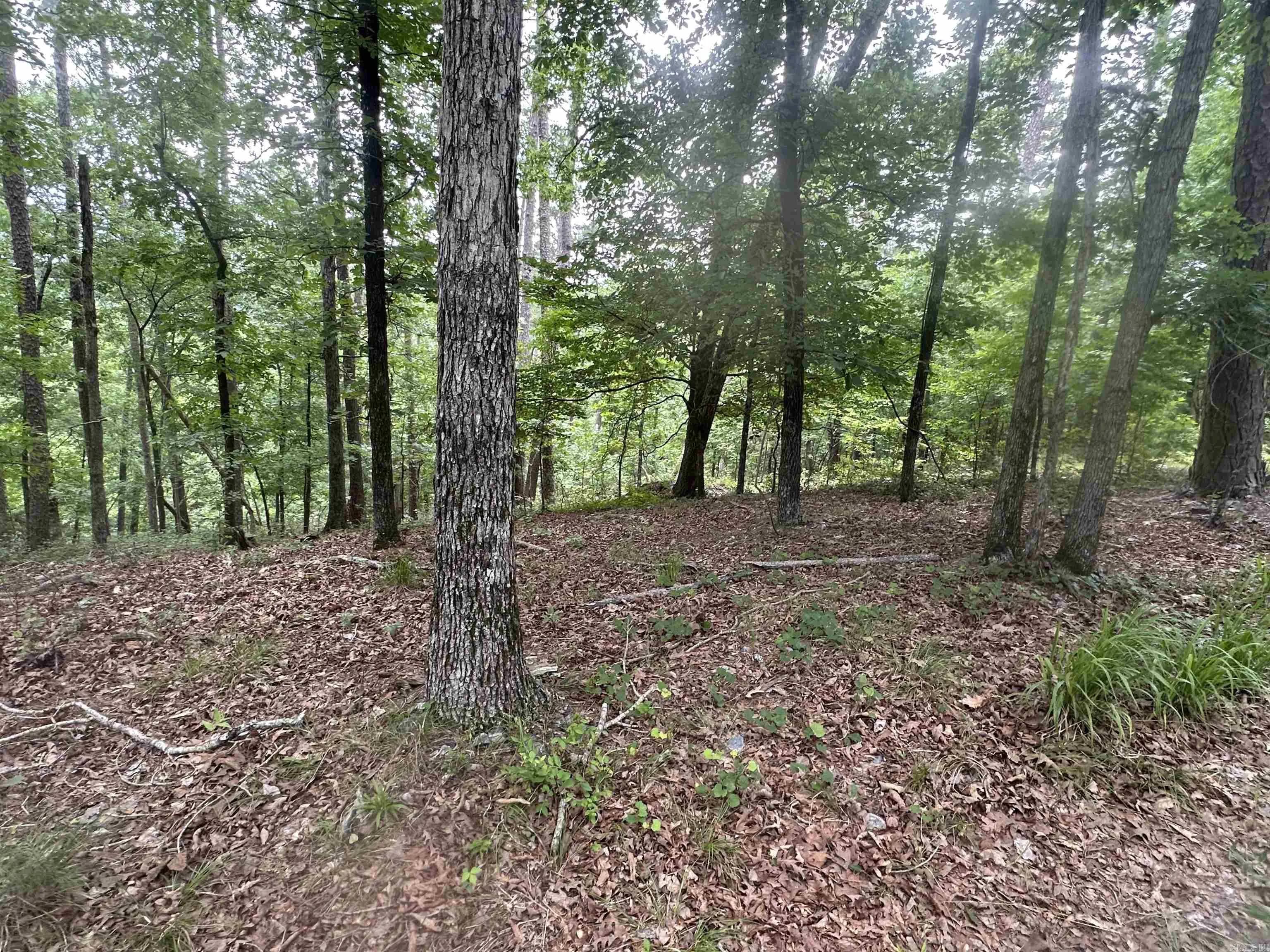 Property at Tract 6  Whispering wood cove - Image 15