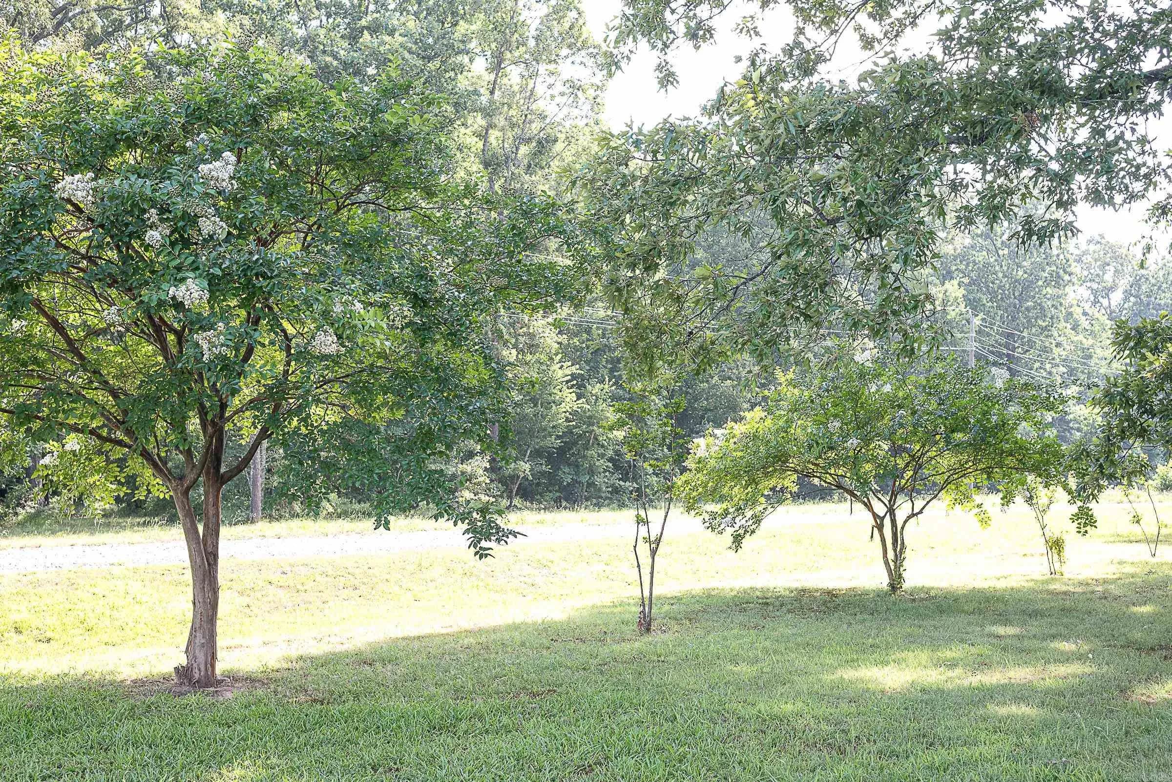 Property at 13717  Terry - Image 23