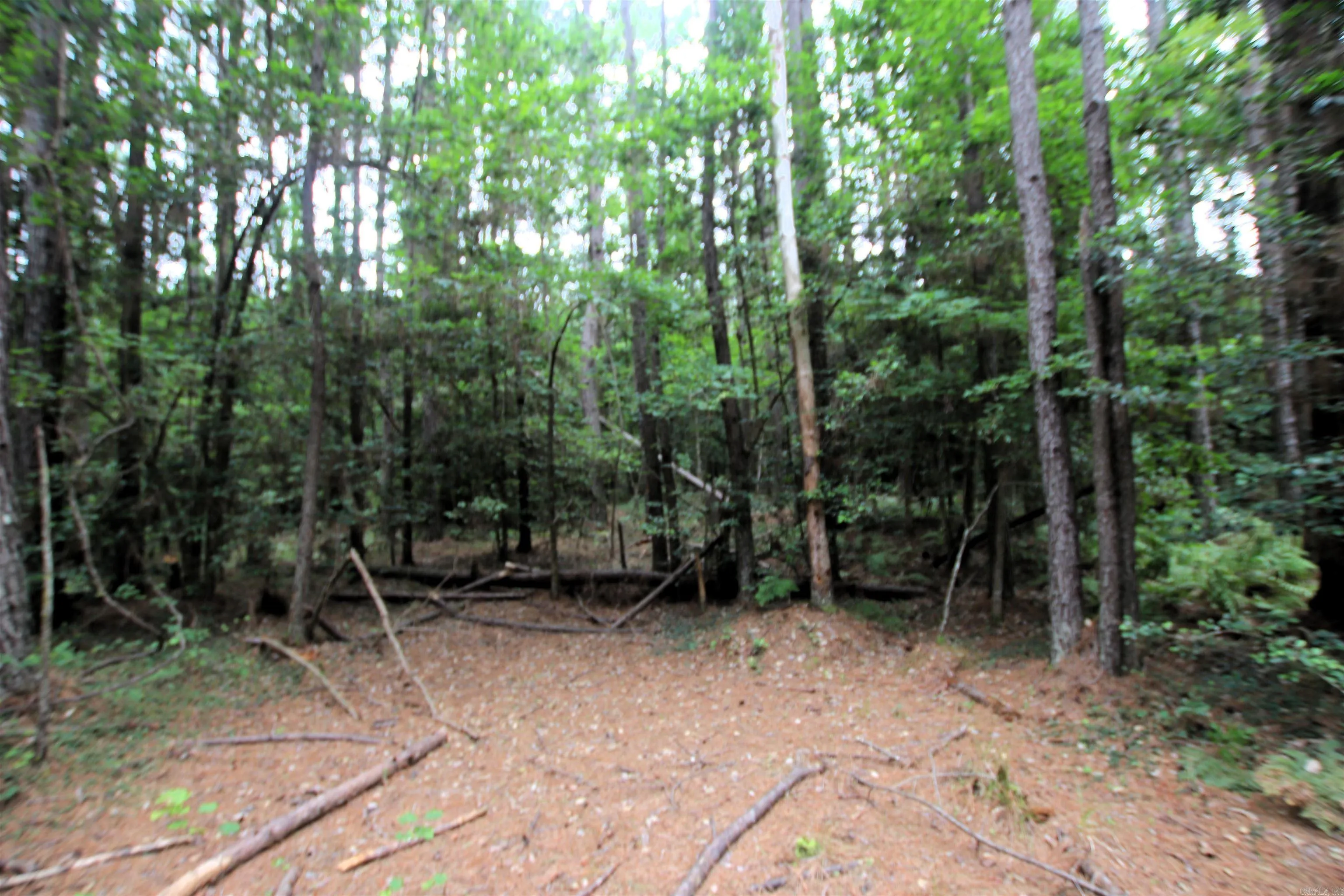 Property at 000  270 - Image 16