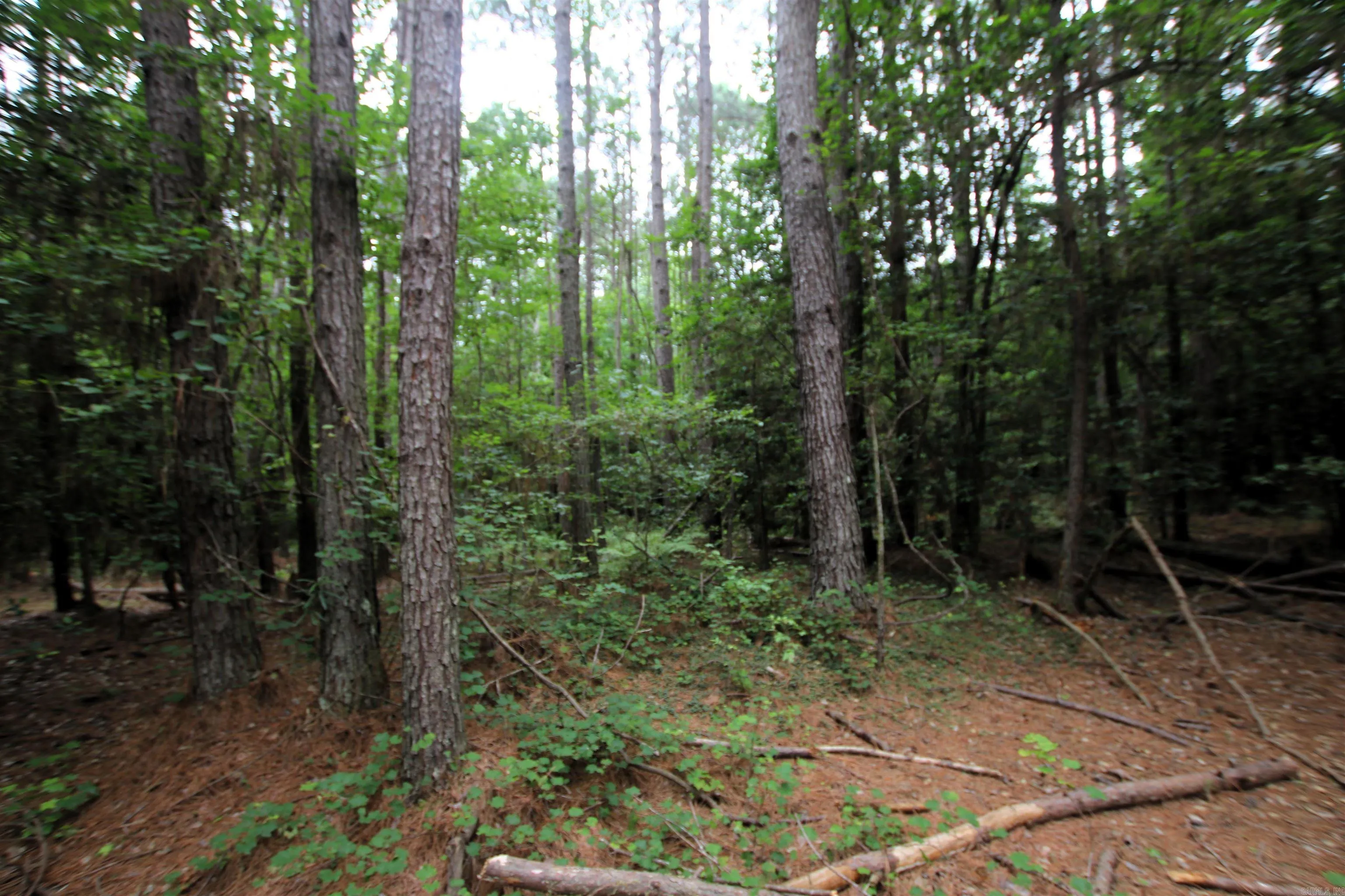 Property at 000  270 - Image 17